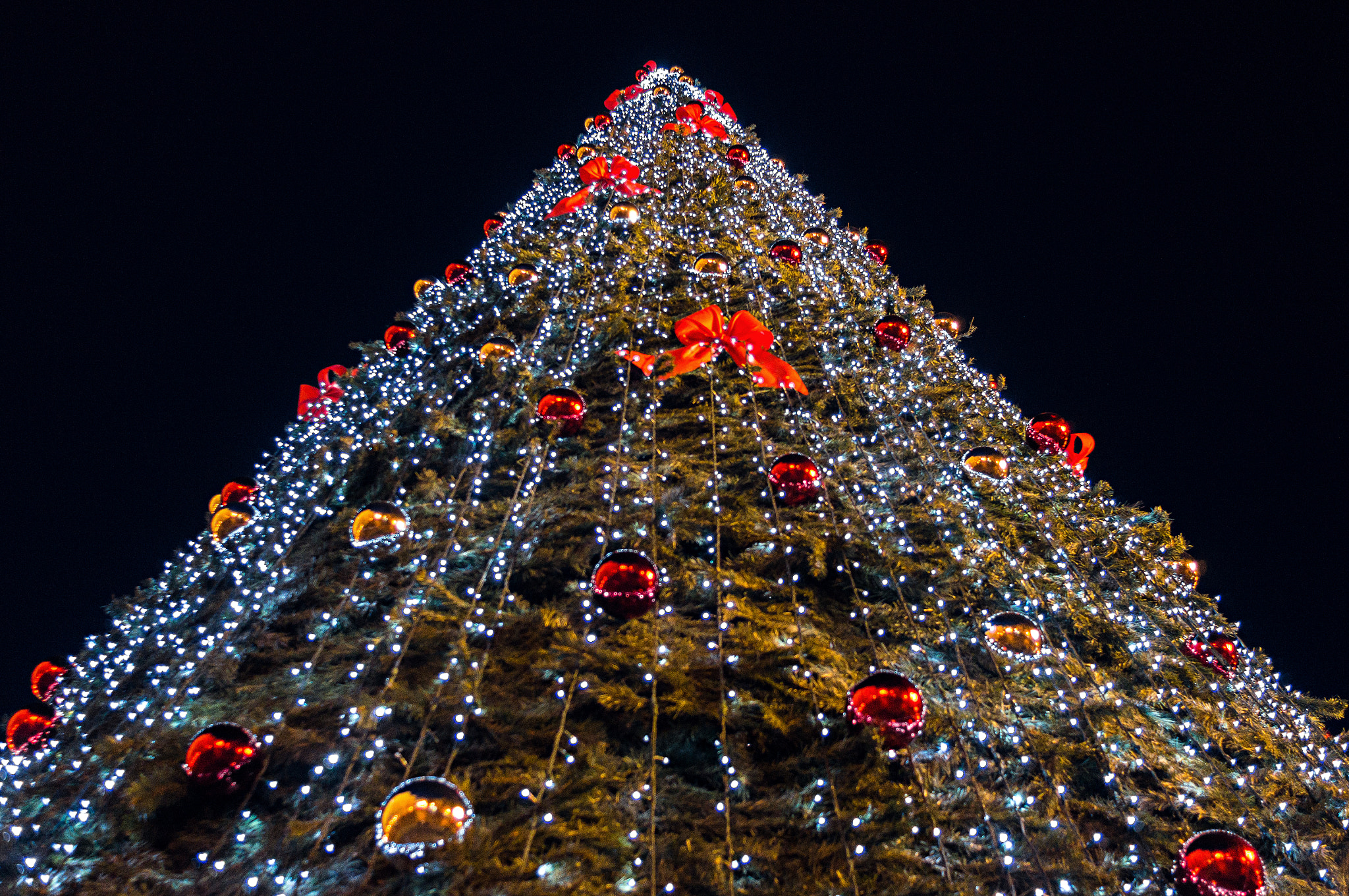 Sony 28mm F2.8 sample photo. Christmas / navidad photography