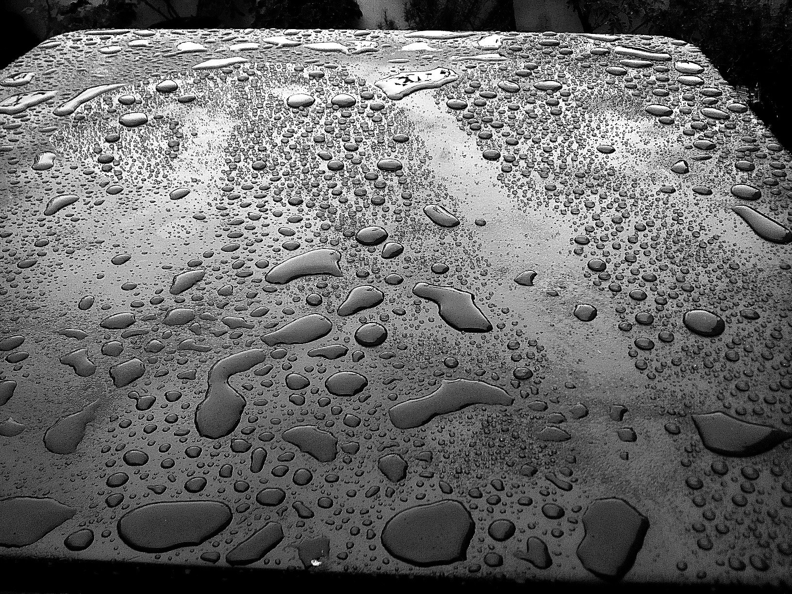 LG Optimus 2X sample photo. Raindrops photography