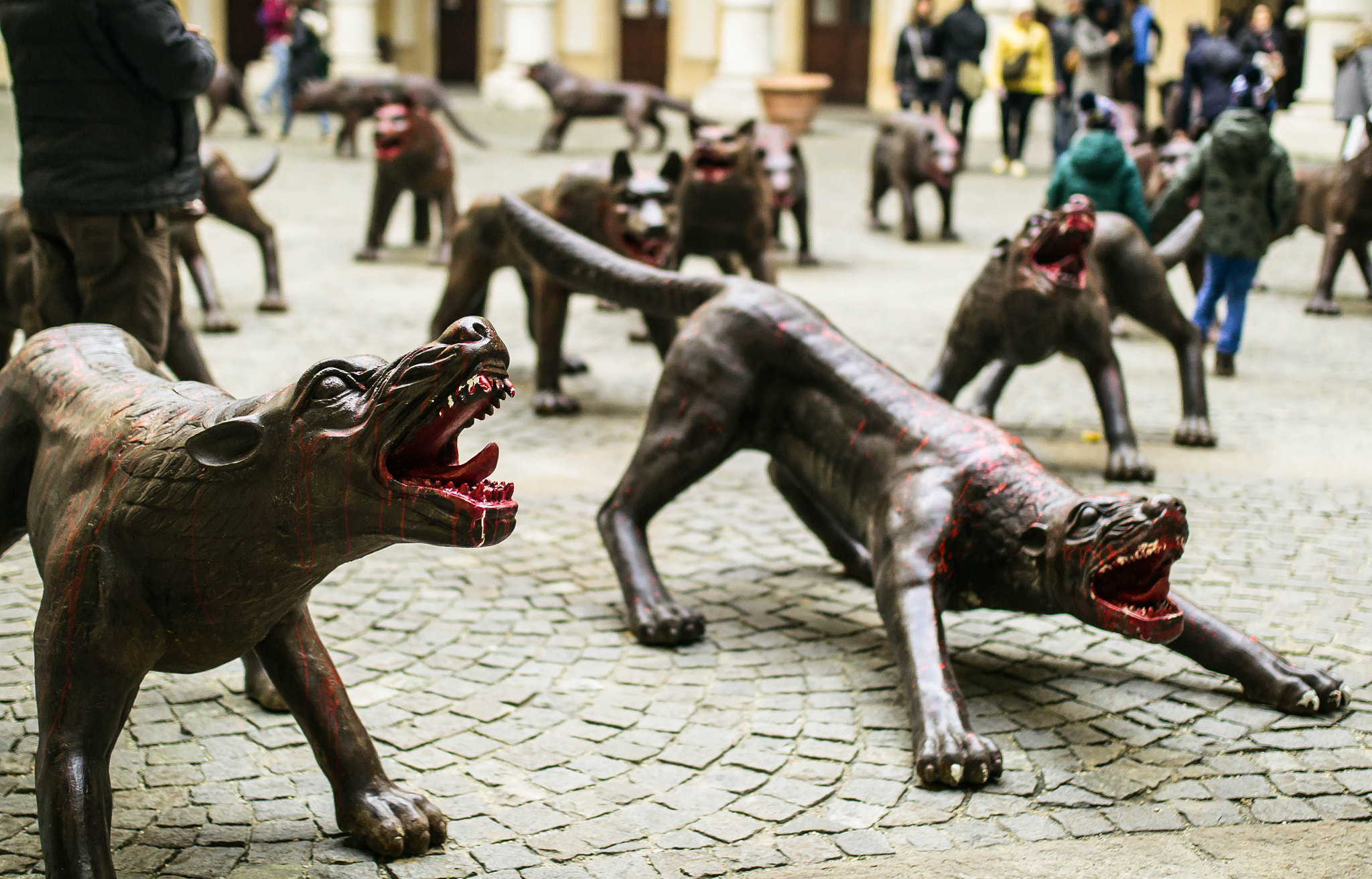 Nikon D3100 + Sigma 35mm F1.4 DG HSM Art sample photo. Invasion... photography