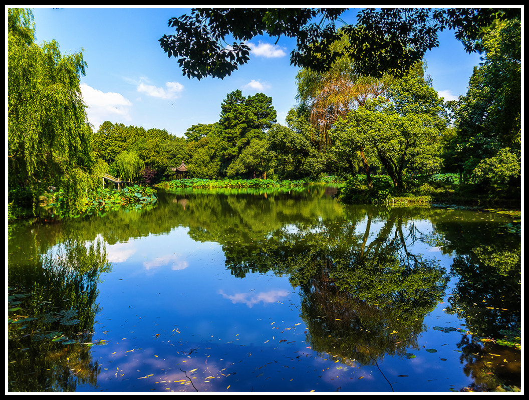 Olympus OM-D E-M10 sample photo. Lago del oeste (hangzhou) photography