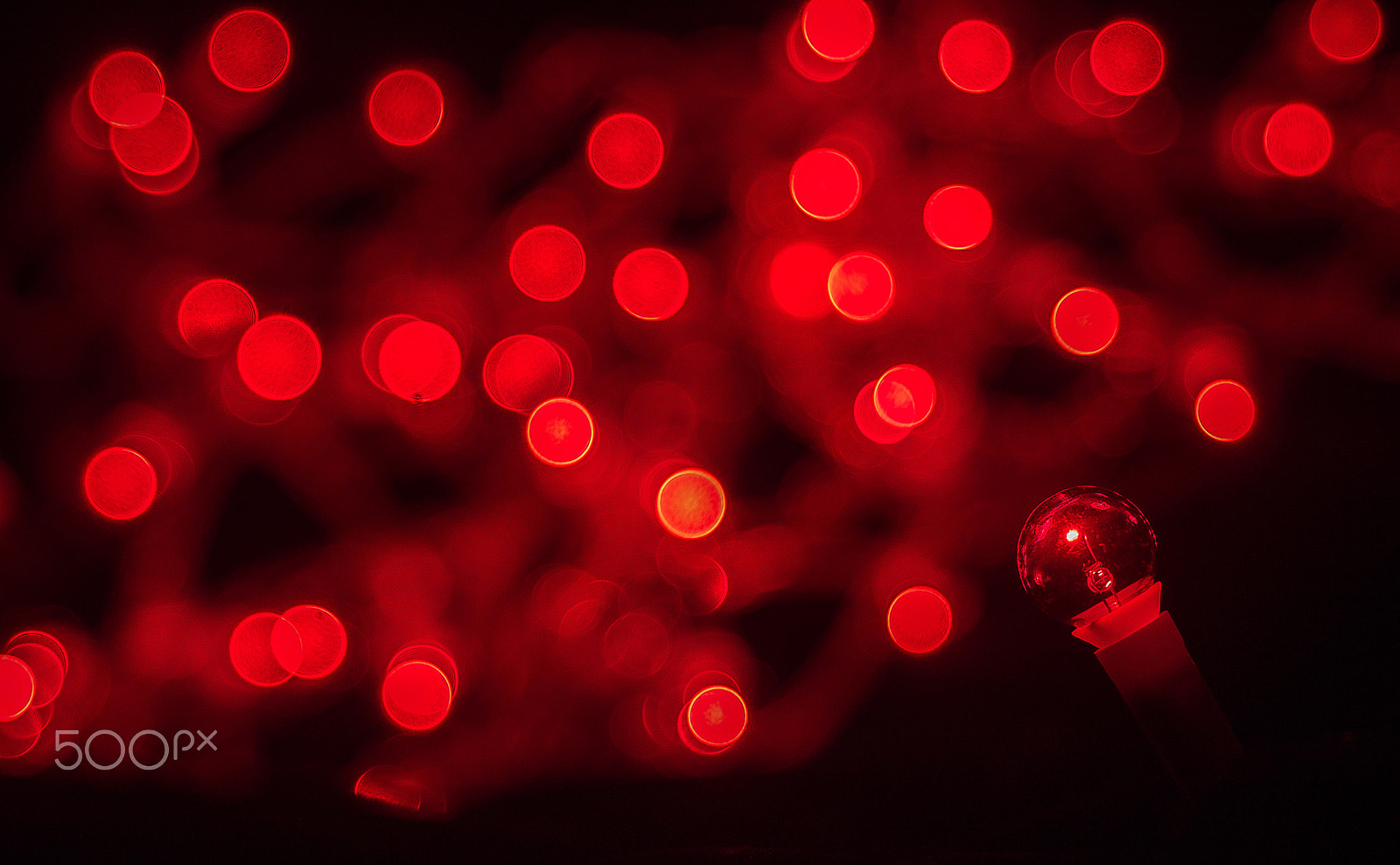 Canon EF 28-105mm f/3.5-4.5 USM sample photo. Christmas red...... photography