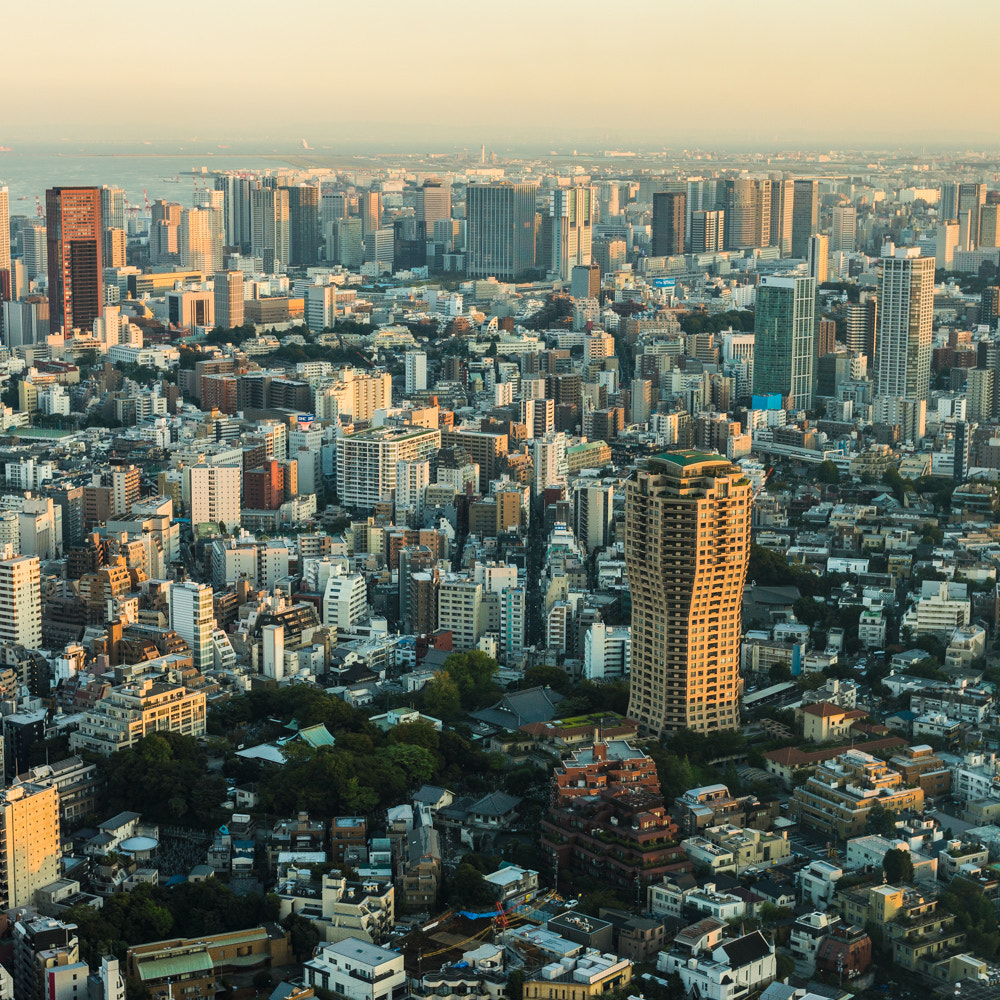 Sony Alpha NEX-7 + E 32mm F1.8 sample photo. Tokyo photography