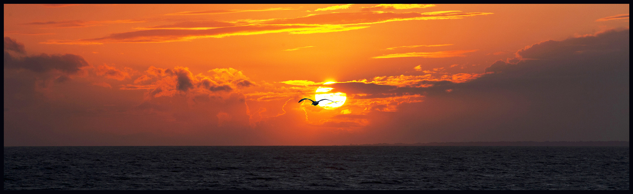 Canon EOS-1Ds Mark II sample photo. Kerroch bretagne france photography