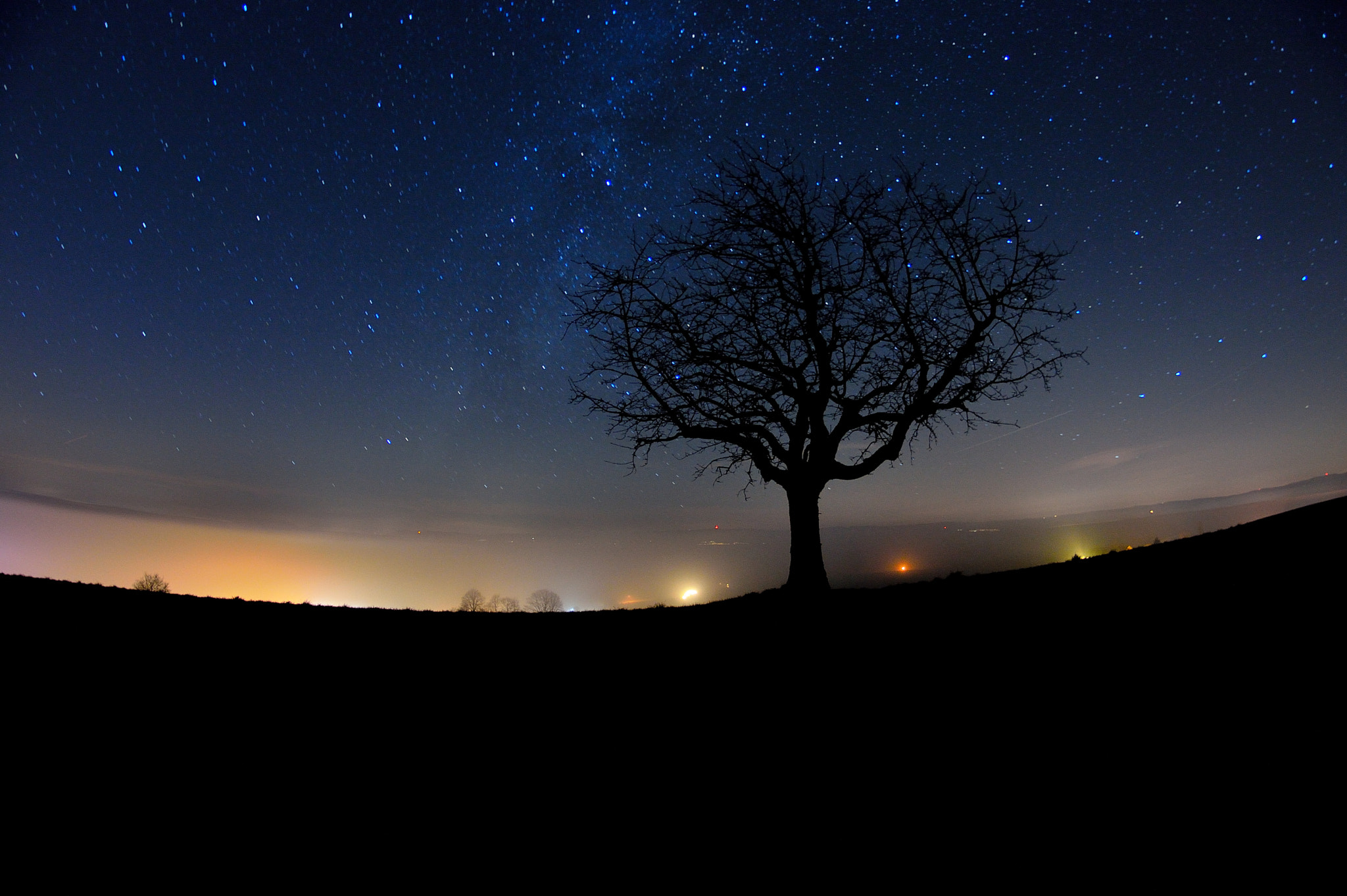 Nikon D3200 + Samyang 8mm F3.5 Aspherical IF MC Fisheye sample photo. Tree in the night photography
