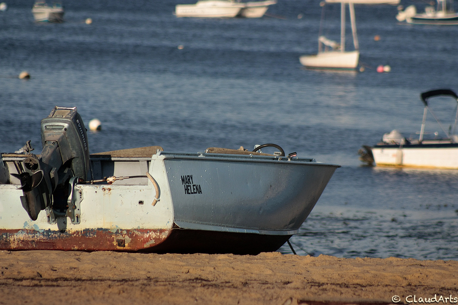 Canon EF 75-300mm f/4-5.6 USM sample photo. Cape cod photography