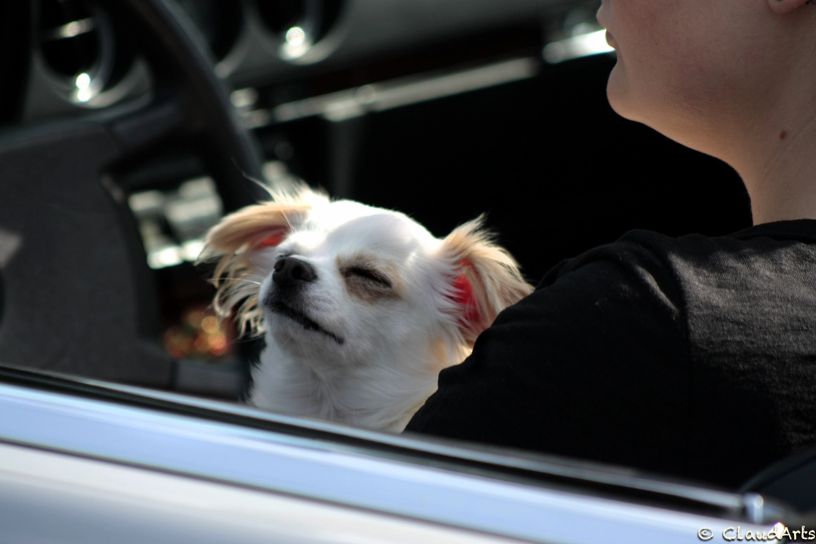 Canon EF 75-300mm f/4-5.6 USM sample photo. Ah..... photography