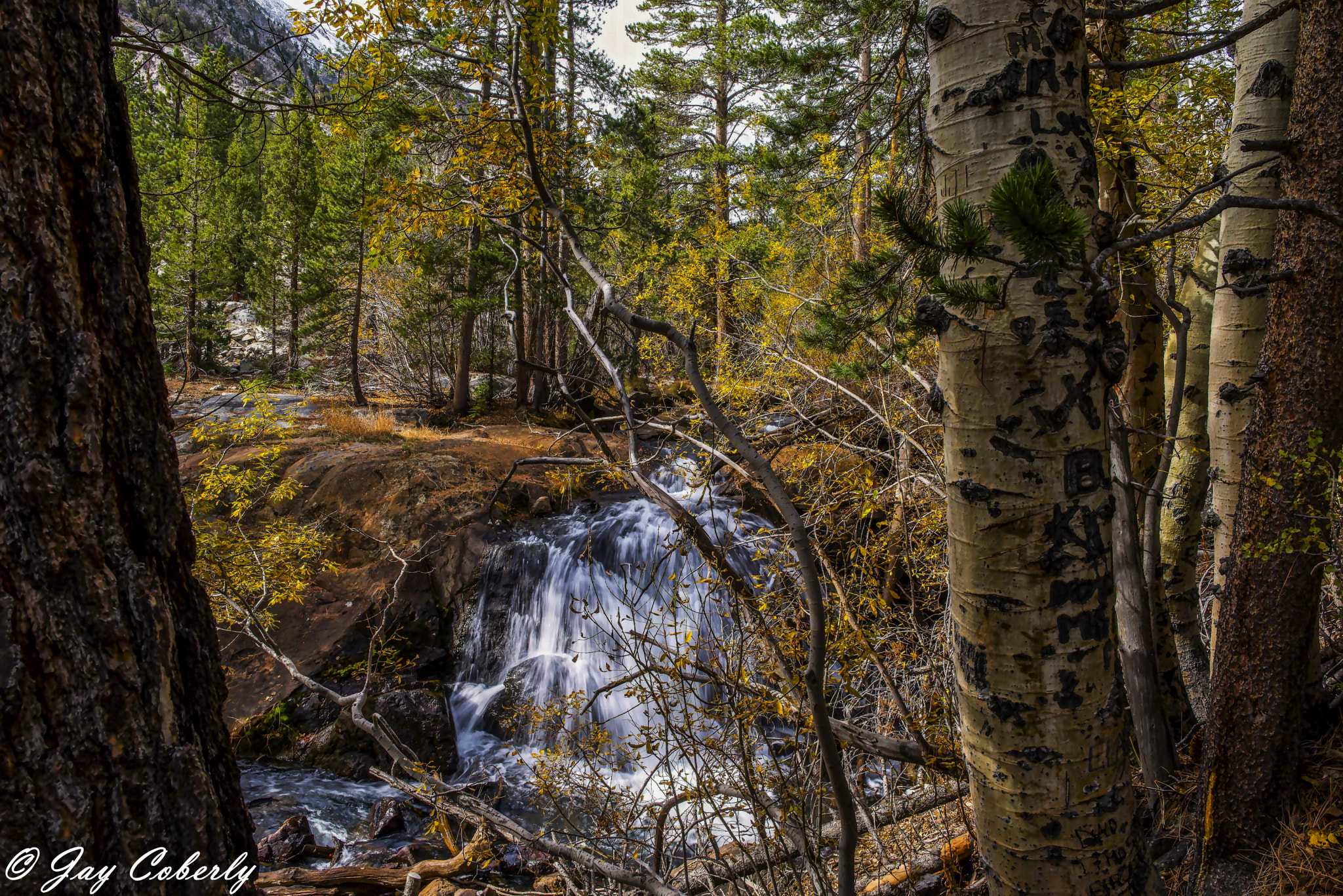 Samyang 12mm F2.8 ED AS NCS Fisheye sample photo. Mill creek photography
