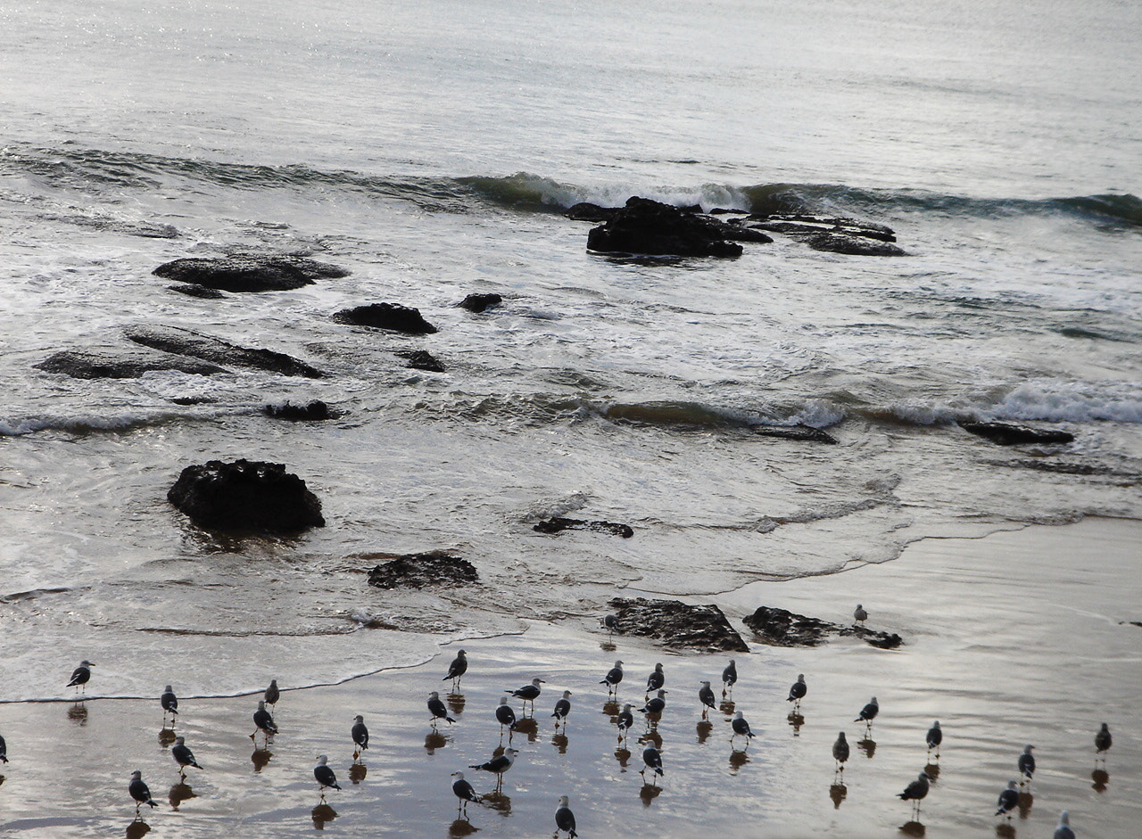 Sony DSC-M2 sample photo. Cascais, portugal photography