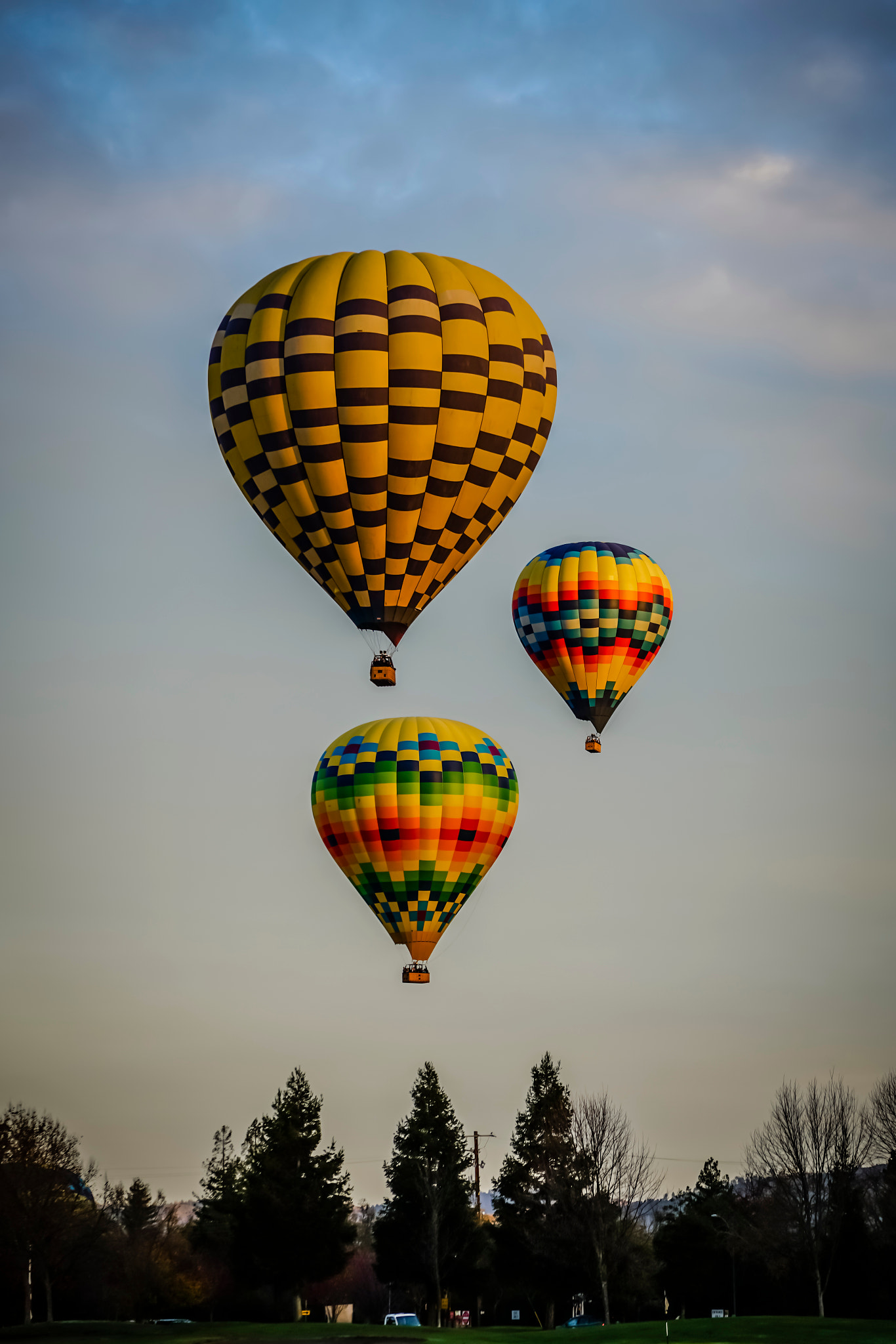 Sony a7R II + Sony Vario-Tessar T* E 16-70mm F4 ZA OSS sample photo. Baloons photography