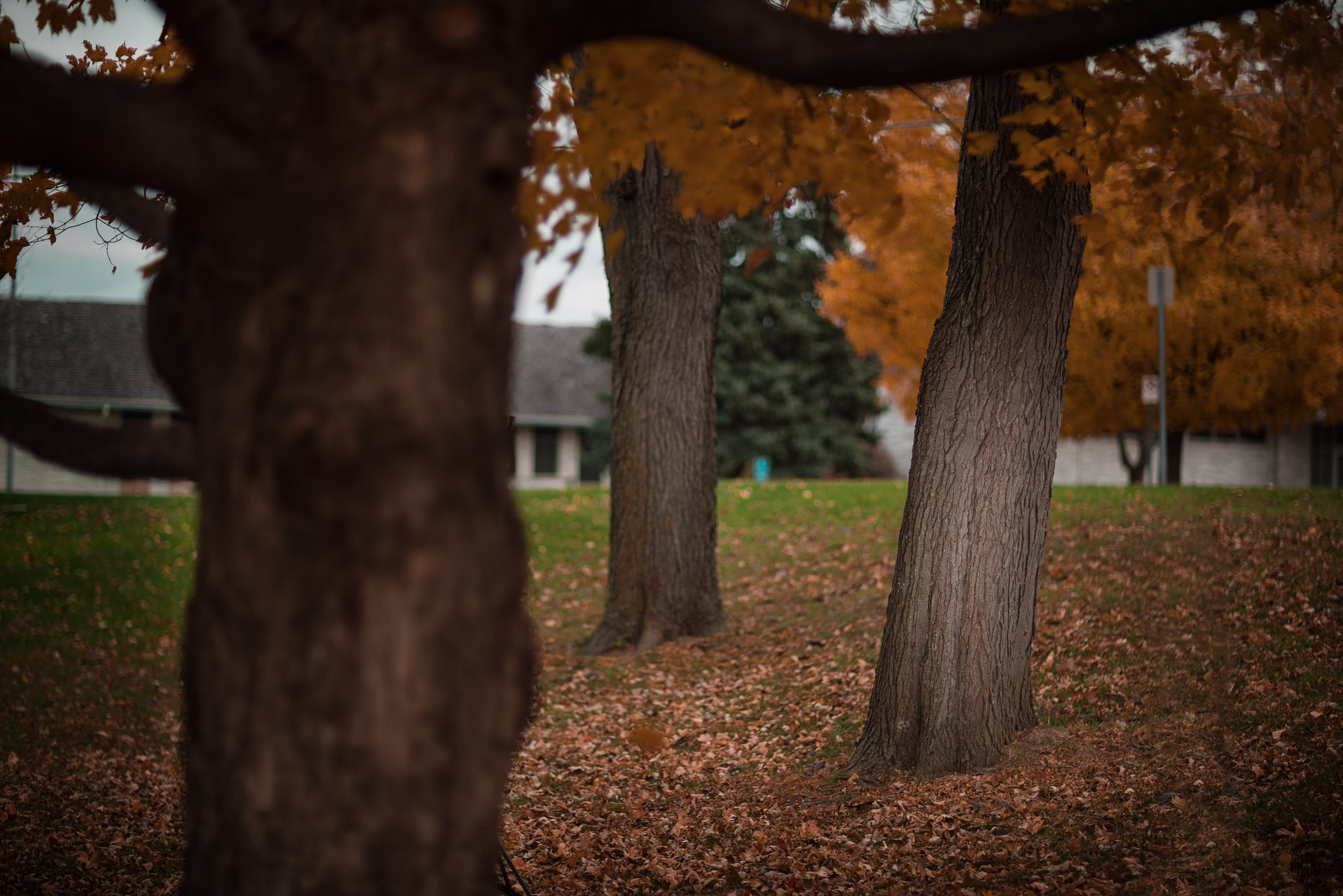 Sony a7R + Canon EF 85mm F1.2L II USM sample photo. Next shooting location photography