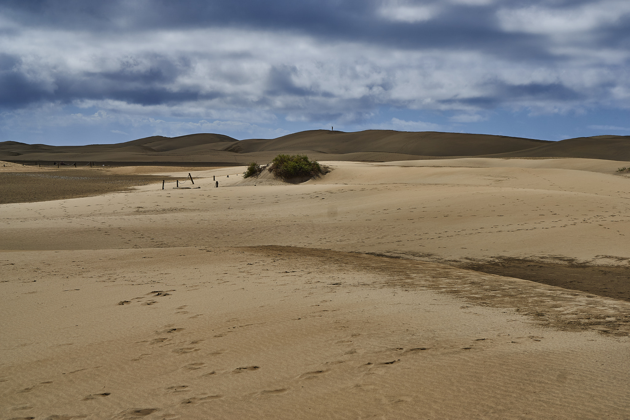 Sony a5100 + Sony E 35mm F1.8 OSS sample photo. Dunas from maspalomas photography