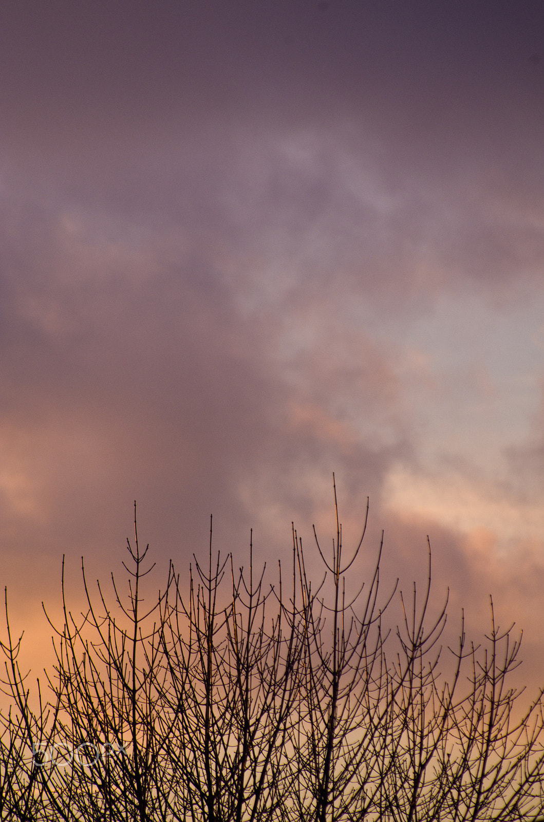 smc PENTAX-FA 80-320mm F4.5-5.6 sample photo. Reaching up photography