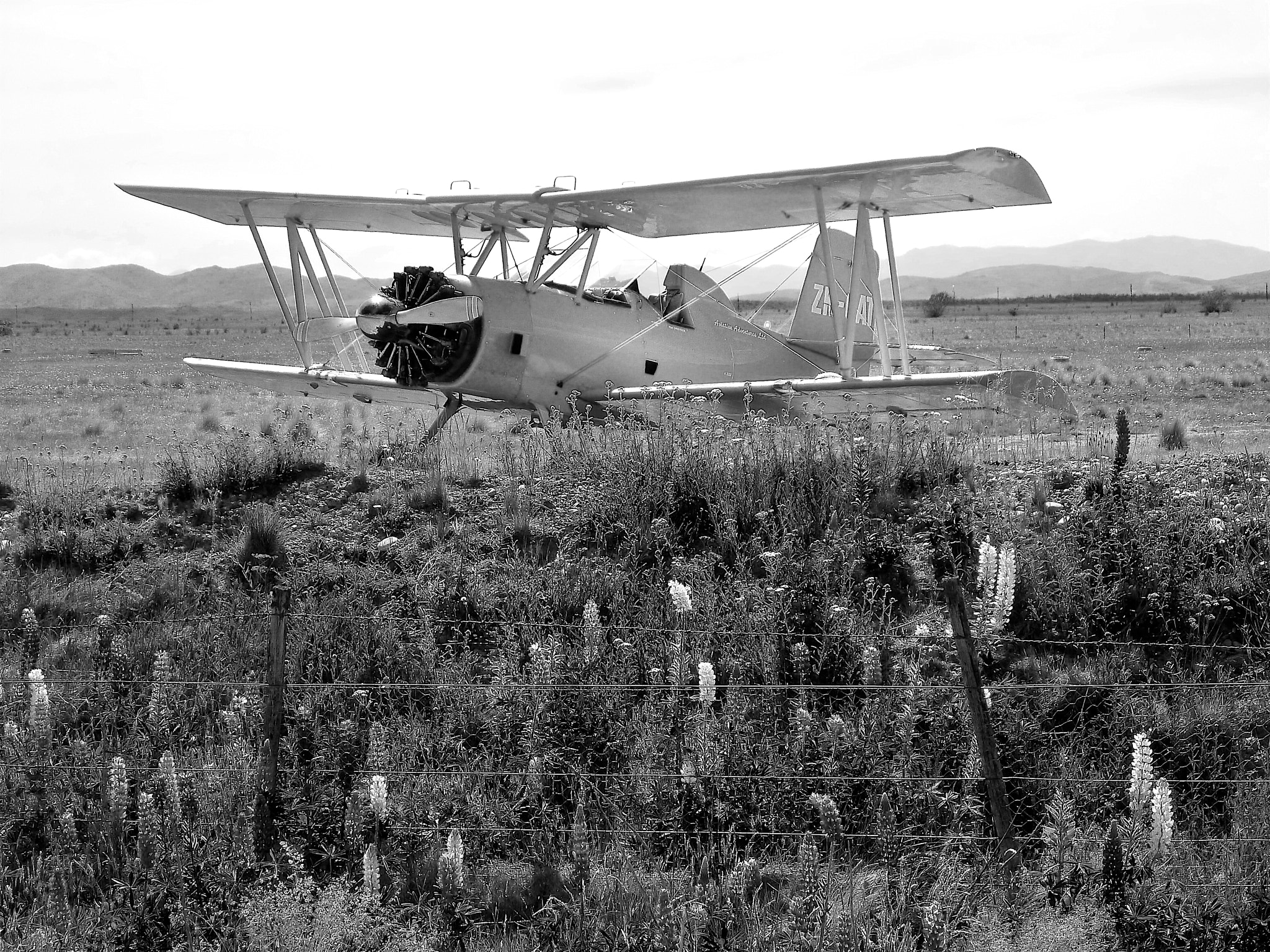 Panasonic DMC-FT3 sample photo. Biplane in flower field photography