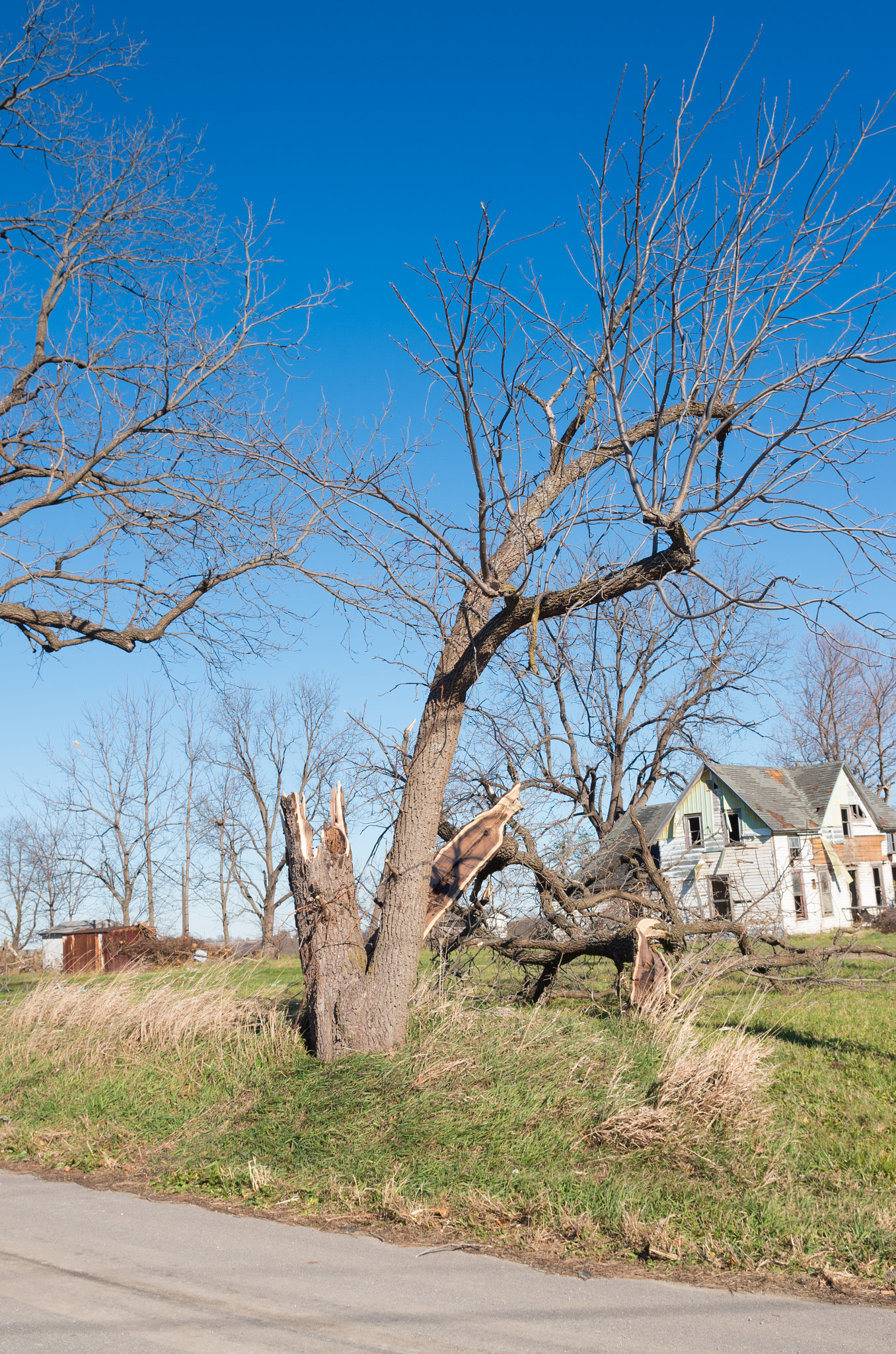 smc PENTAX-DA L 18-55mm F3.5-5.6 sample photo. 11-11-15 tornado damage 5 photography