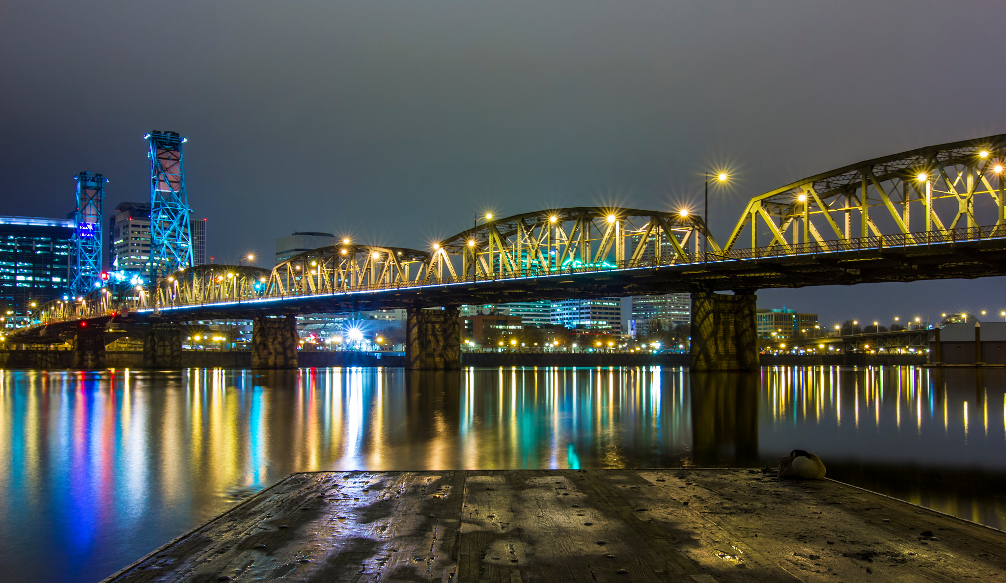 Tokina AT-X Pro 12-24mm F4 (IF) DX sample photo. Lone goose photography