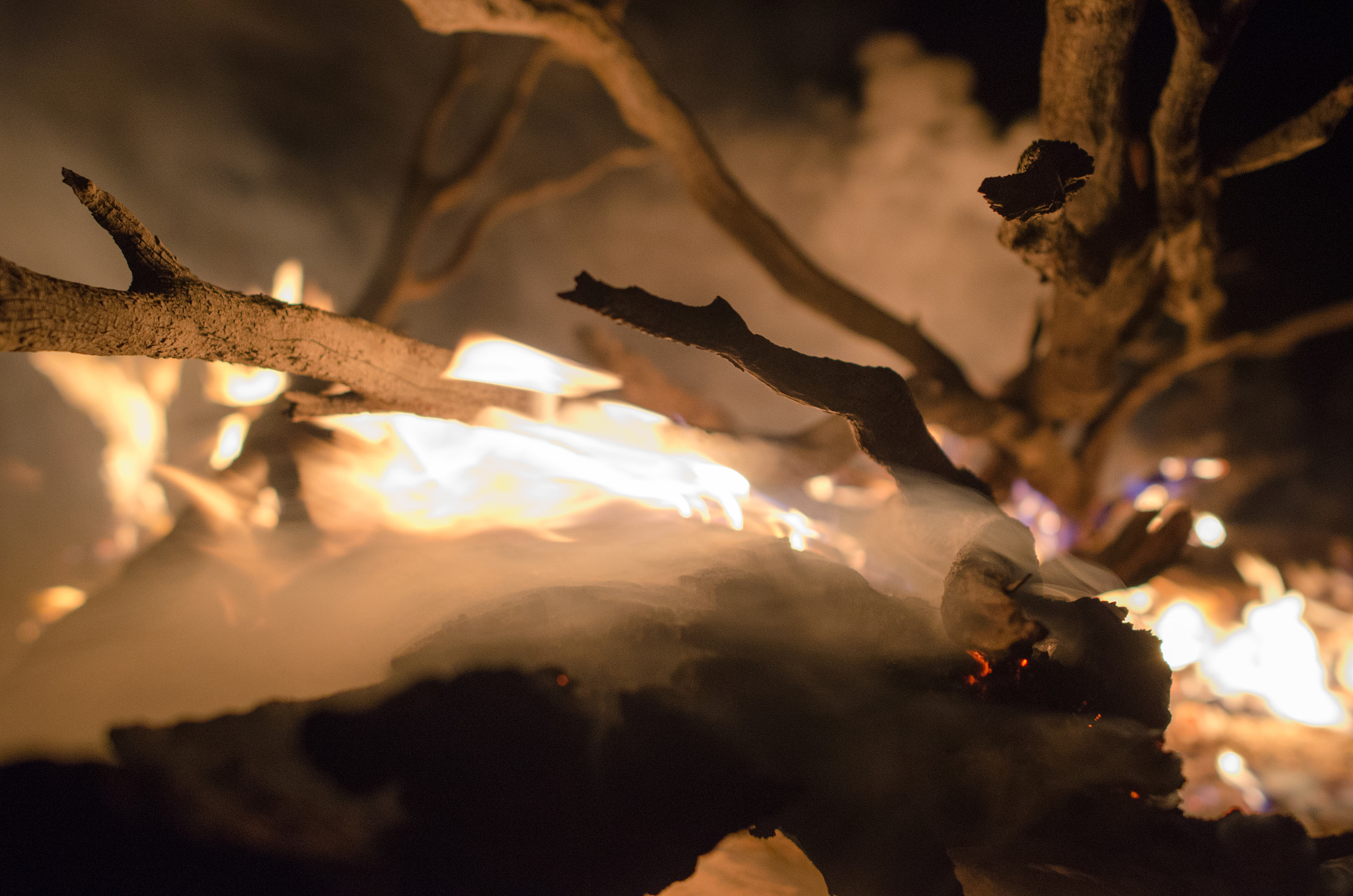 Samyang 12mm F2.8 ED AS NCS Fisheye sample photo. Stick a fire photography