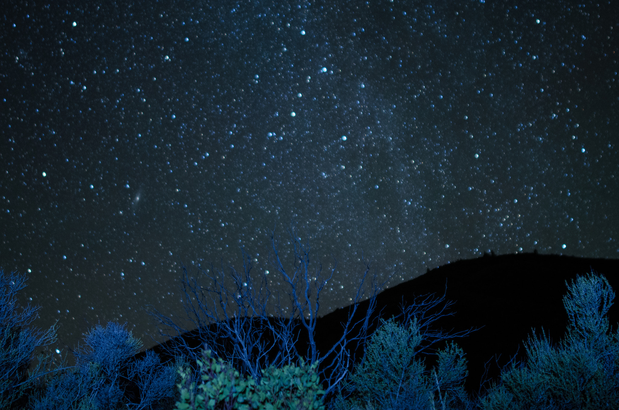 Samyang 12mm F2.8 ED AS NCS Fisheye sample photo. Some star photography
