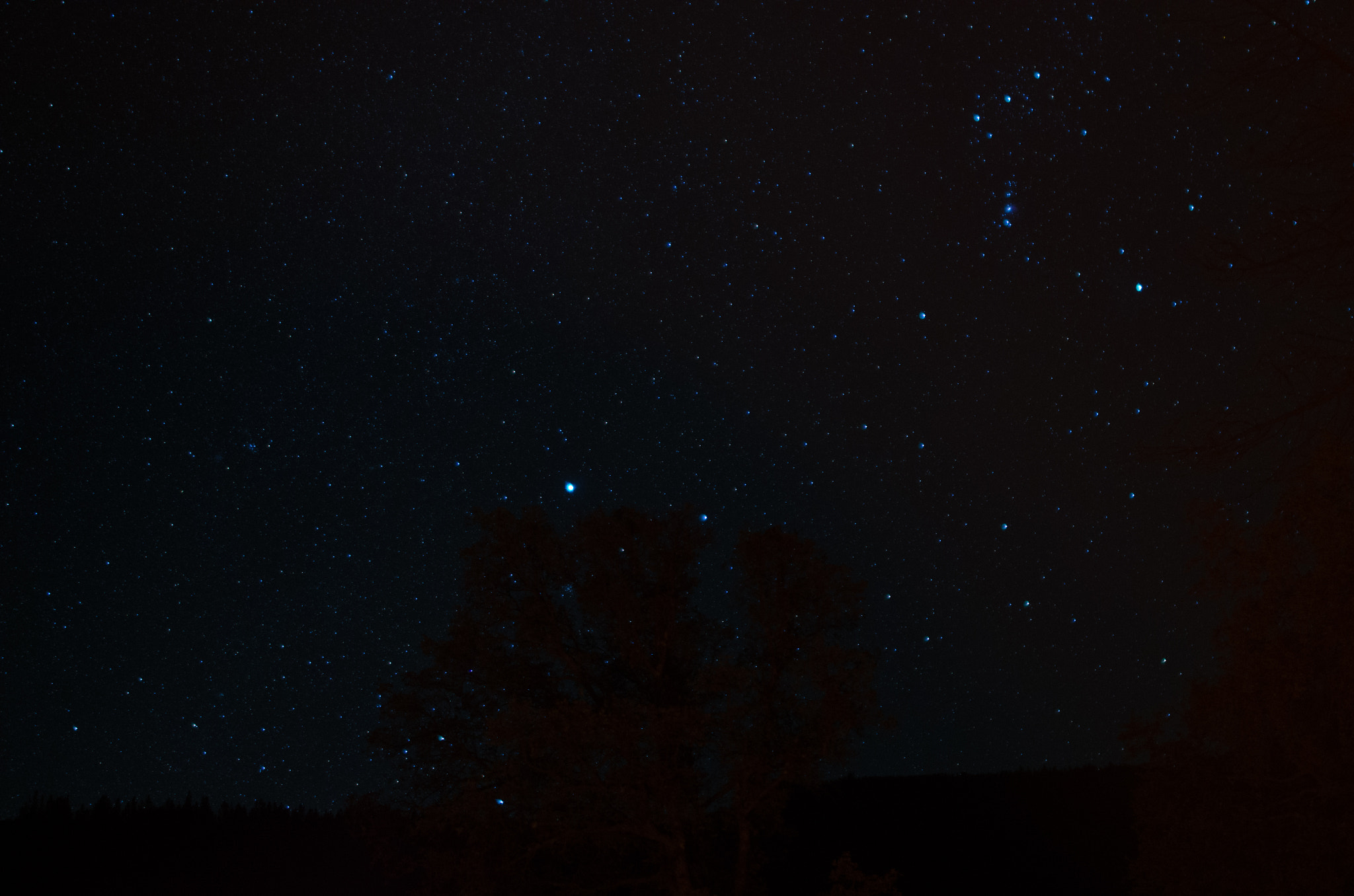 Samyang 12mm F2.8 ED AS NCS Fisheye sample photo. Dem stars photography
