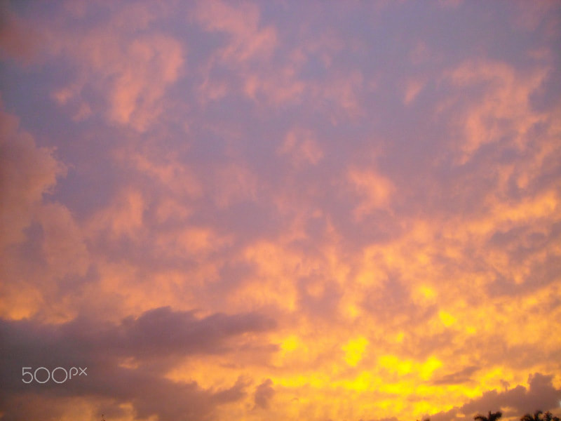 Nikon Coolpix L16 sample photo. Wellington sunset photography