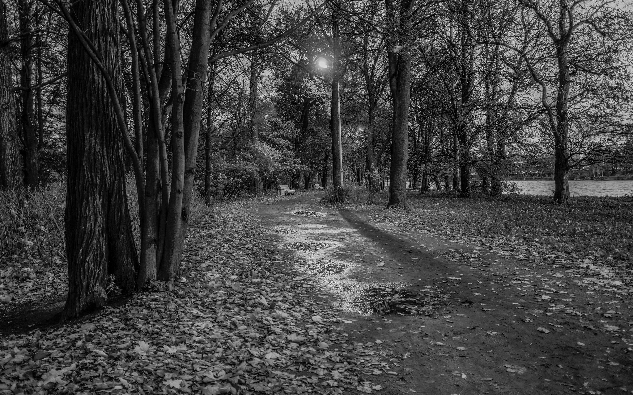 Sony Alpha NEX-5N + Sigma 19mm F2.8 EX DN sample photo. Autumn park. photography