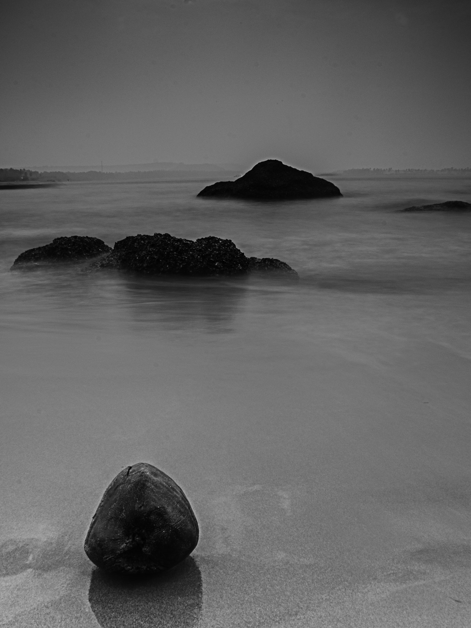 Nikon D7000 + Sigma 18-125mm F3.8-5.6 DC OS HSM sample photo. Coconut on the beach.. photography
