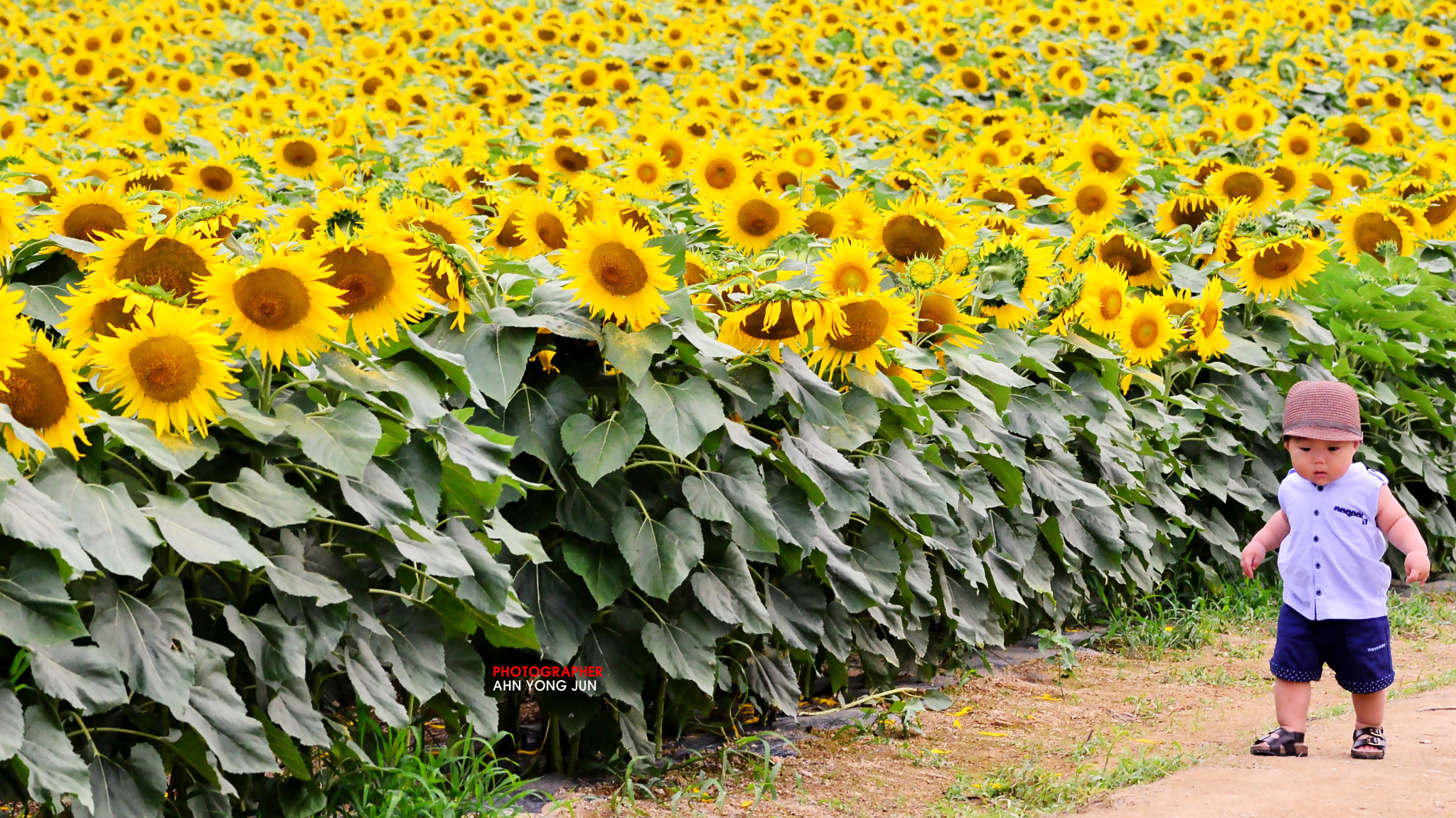 Nikon D7000 + AF Micro-Nikkor 105mm f/2.8 sample photo. Flowers are watching the boy photography