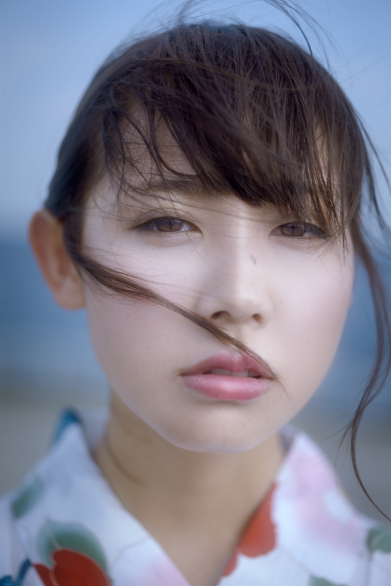 ZEISS Makro-Planar T* 50mm F2 sample photo. Wind photography