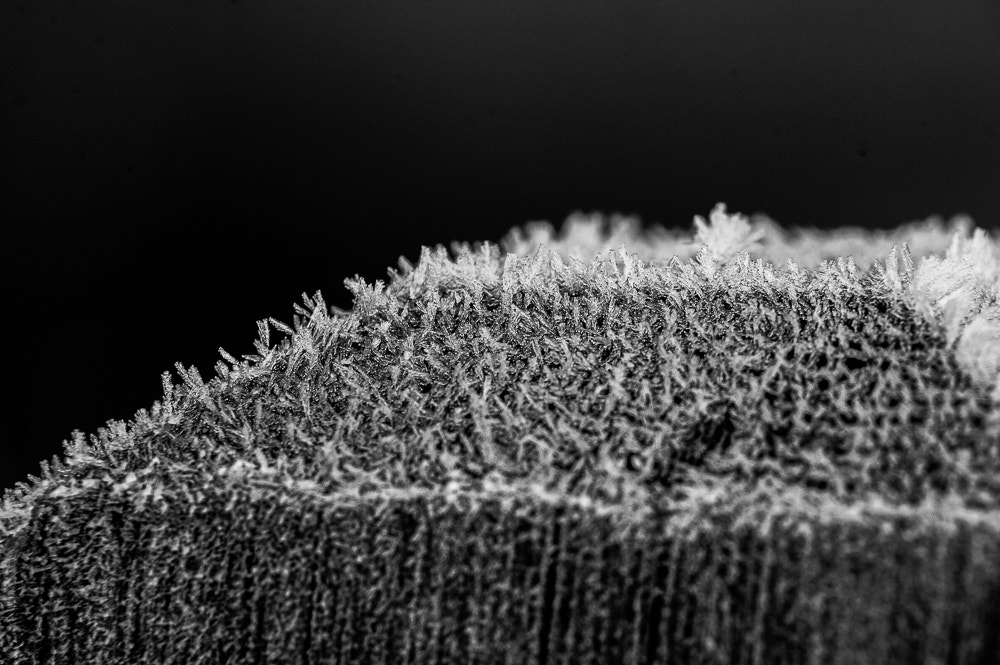 Nikon D3S sample photo. Frosen photography