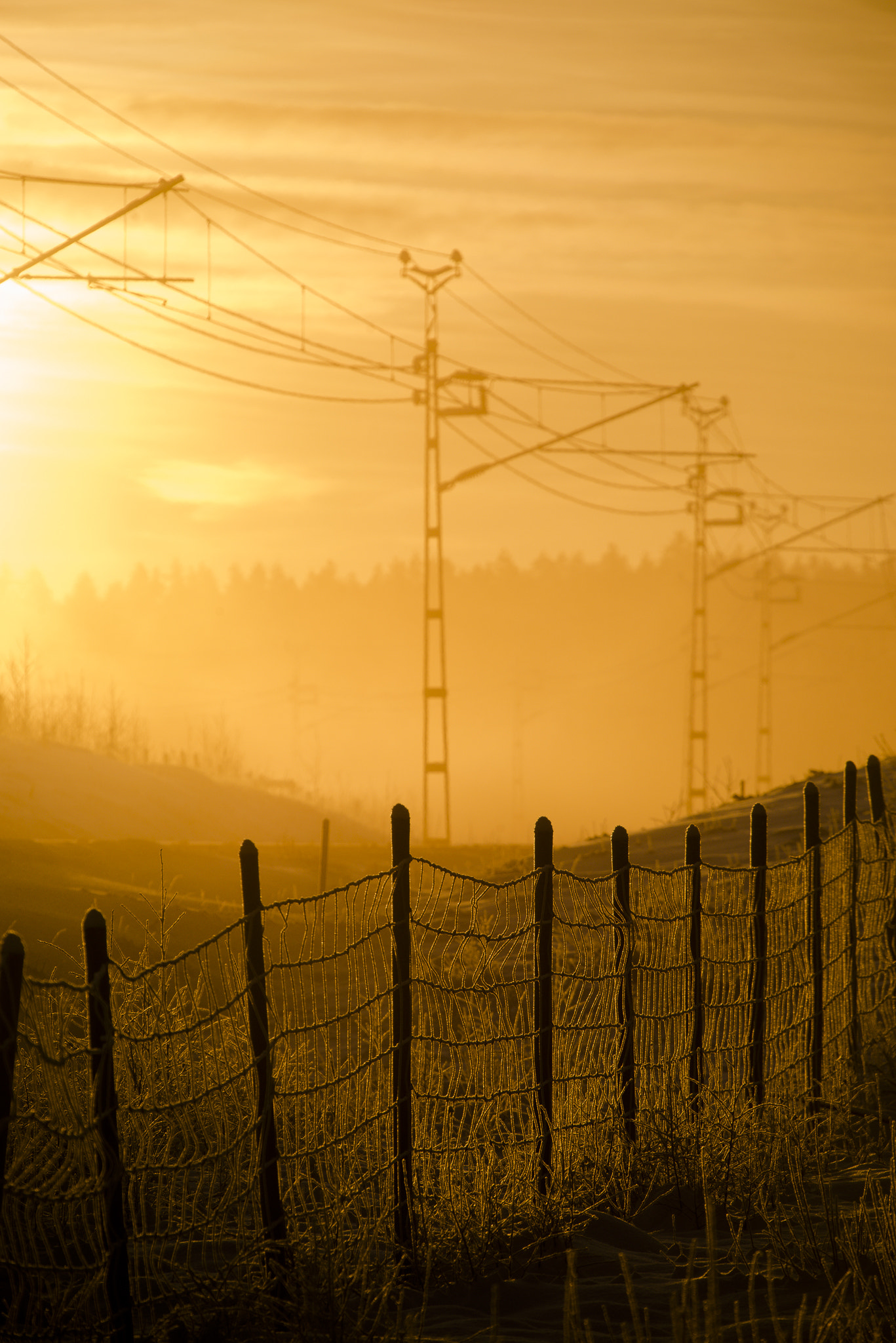 Nikon D800 + Sigma 50-500mm F4-6.3 EX APO RF HSM sample photo. Railway in the snowy mist photography