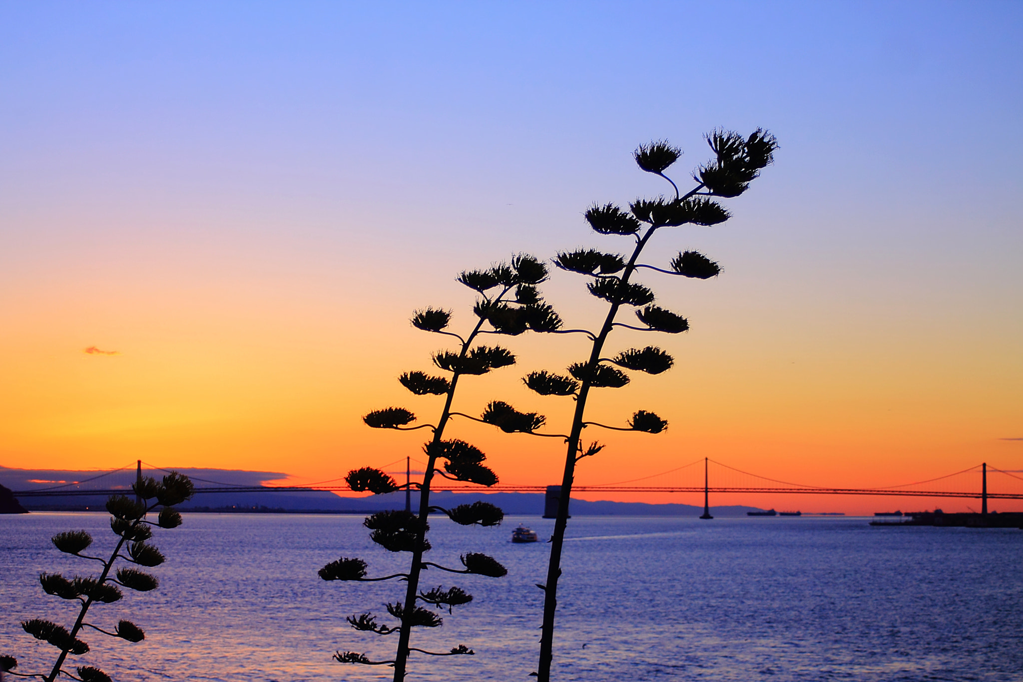 Canon EF 35-80mm f/4-5.6 sample photo. Sunrise by the bay photography