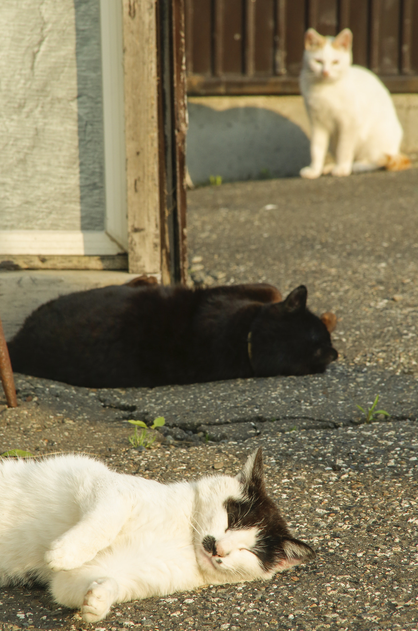 Canon EF 28-200mm F3.5-5.6 USM sample photo. Twilight photography