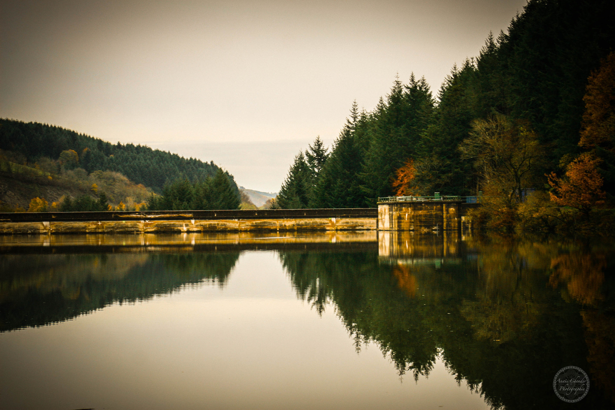 Canon EF 75-300mm f/4-5.6 USM sample photo. Silence sur le lac photography