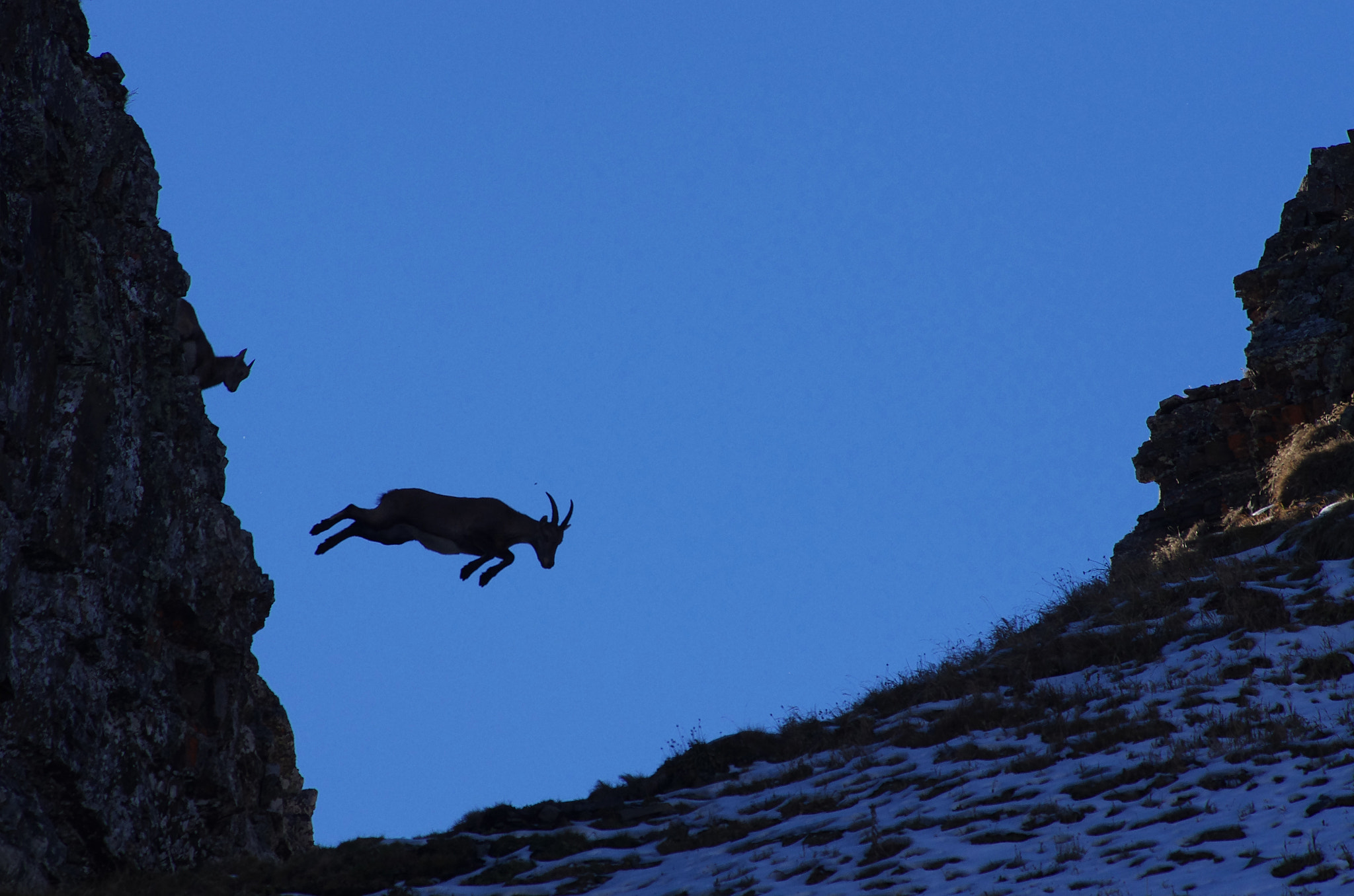 Pentax smc DA* 300mm F4.0 ED (IF) SDM sample photo. The jump photography