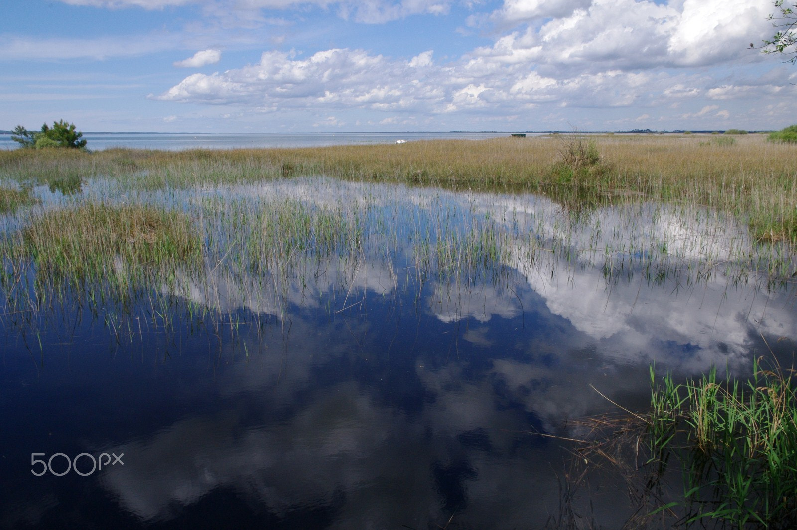 Pentax K-7 sample photo. Lac de carcans-hourtin photography