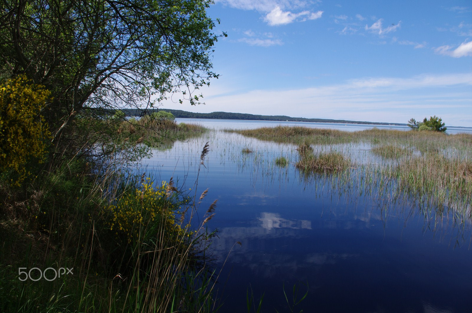 Pentax K-7 sample photo. Lac de carcans-hourtin photography