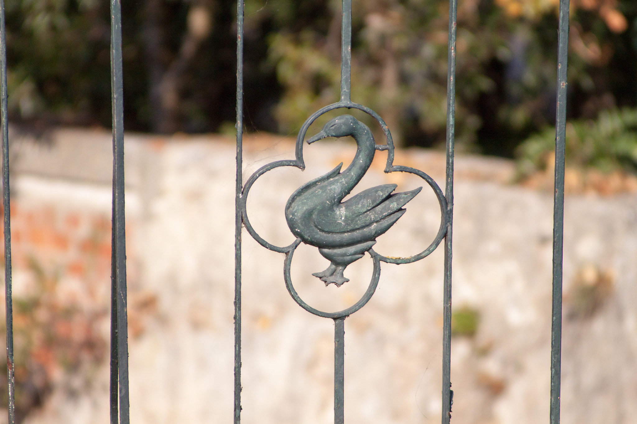 Canon EF 55-200mm F4.5-5.6 II USM sample photo. Duck pond photography