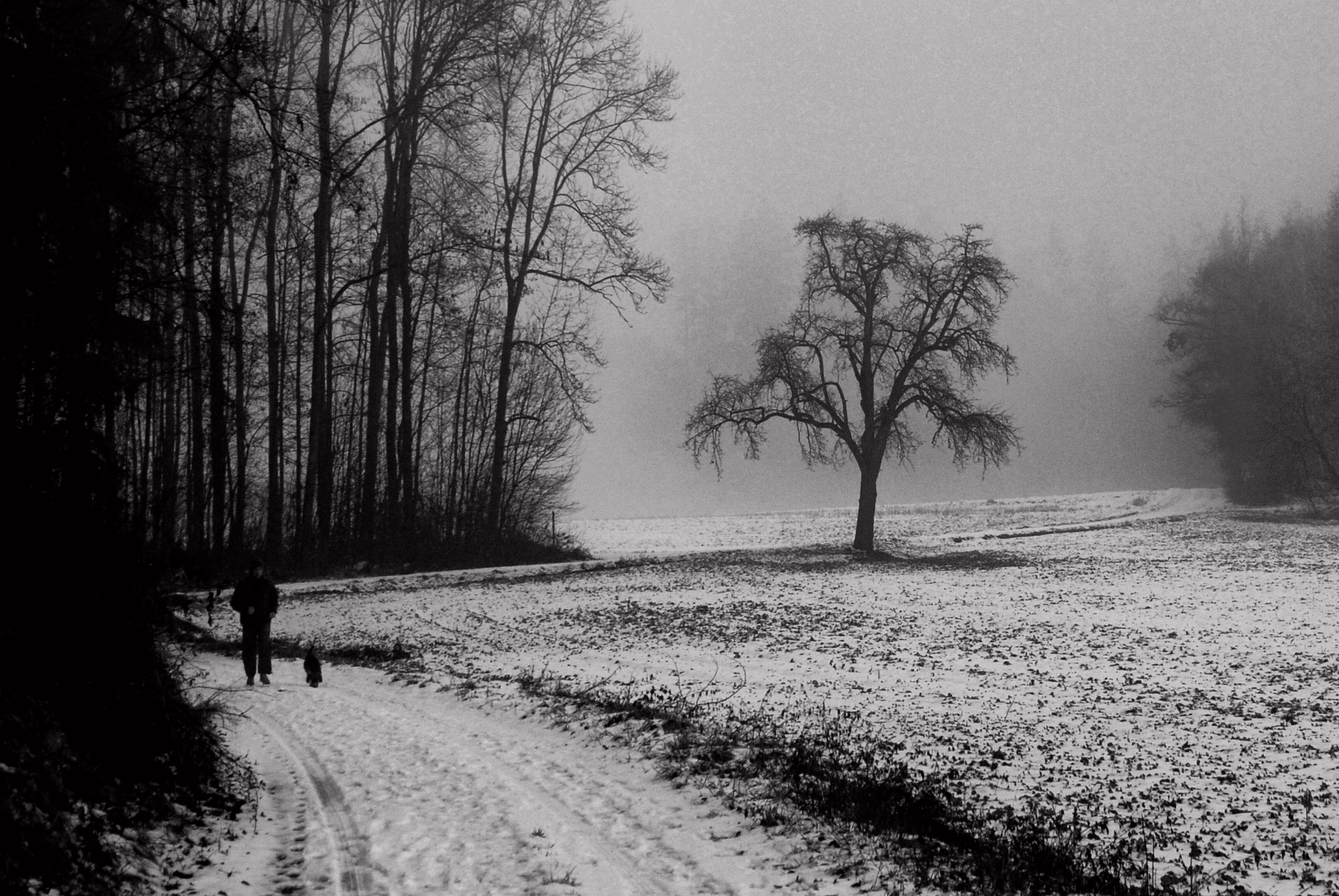 AF Zoom-Nikkor 28-105mm f/3.5-4.5D IF sample photo. Winterliche ahnung photography