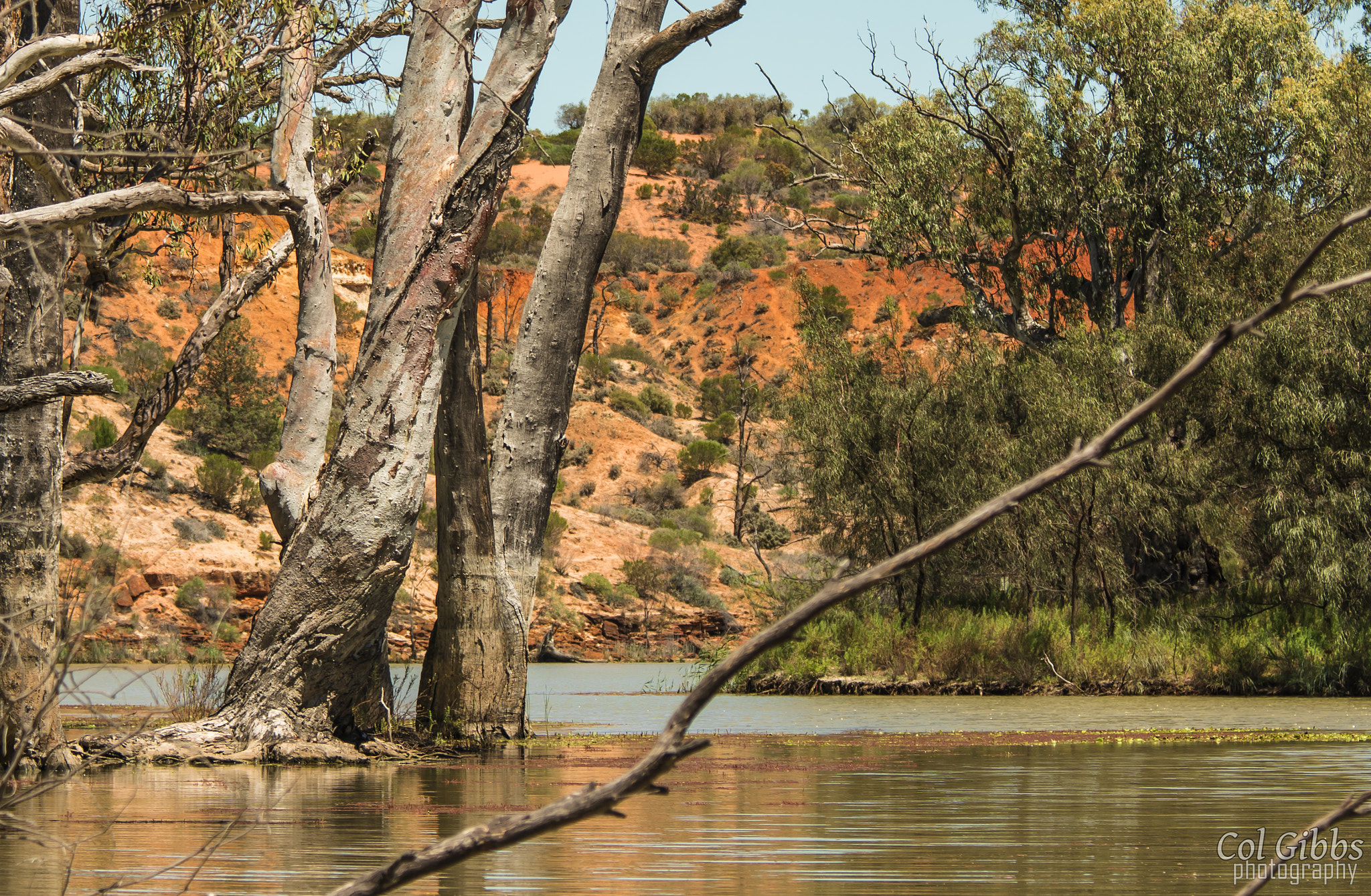 Canon EF 70-200mm F4L IS USM sample photo. Murray river scene photography