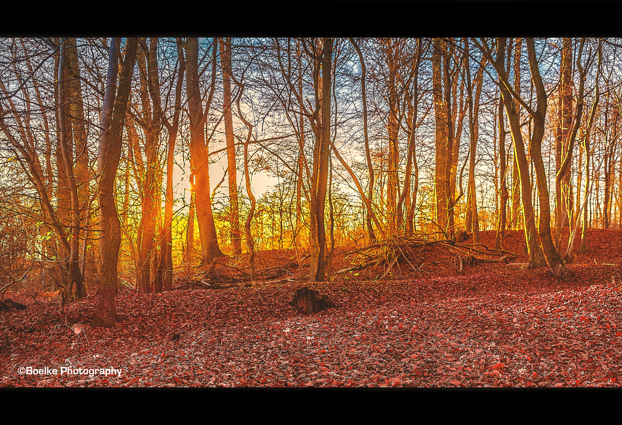 Sigma 24-105mm f/4 DG OS HSM | A sample photo. Warm winter photography