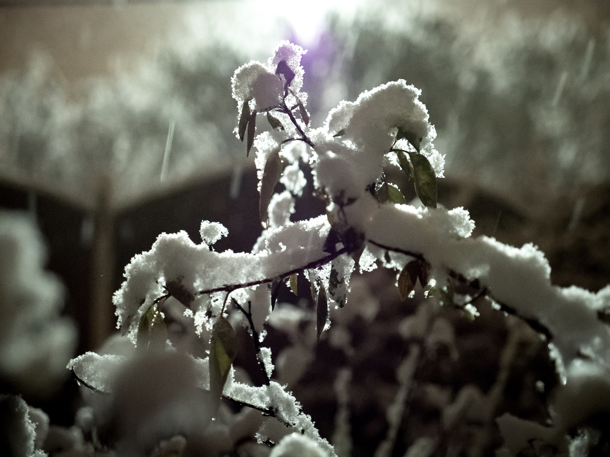 Panasonic Lumix G X Vario 12-35mm F2.8 ASPH Power OIS sample photo. Snow at night photography