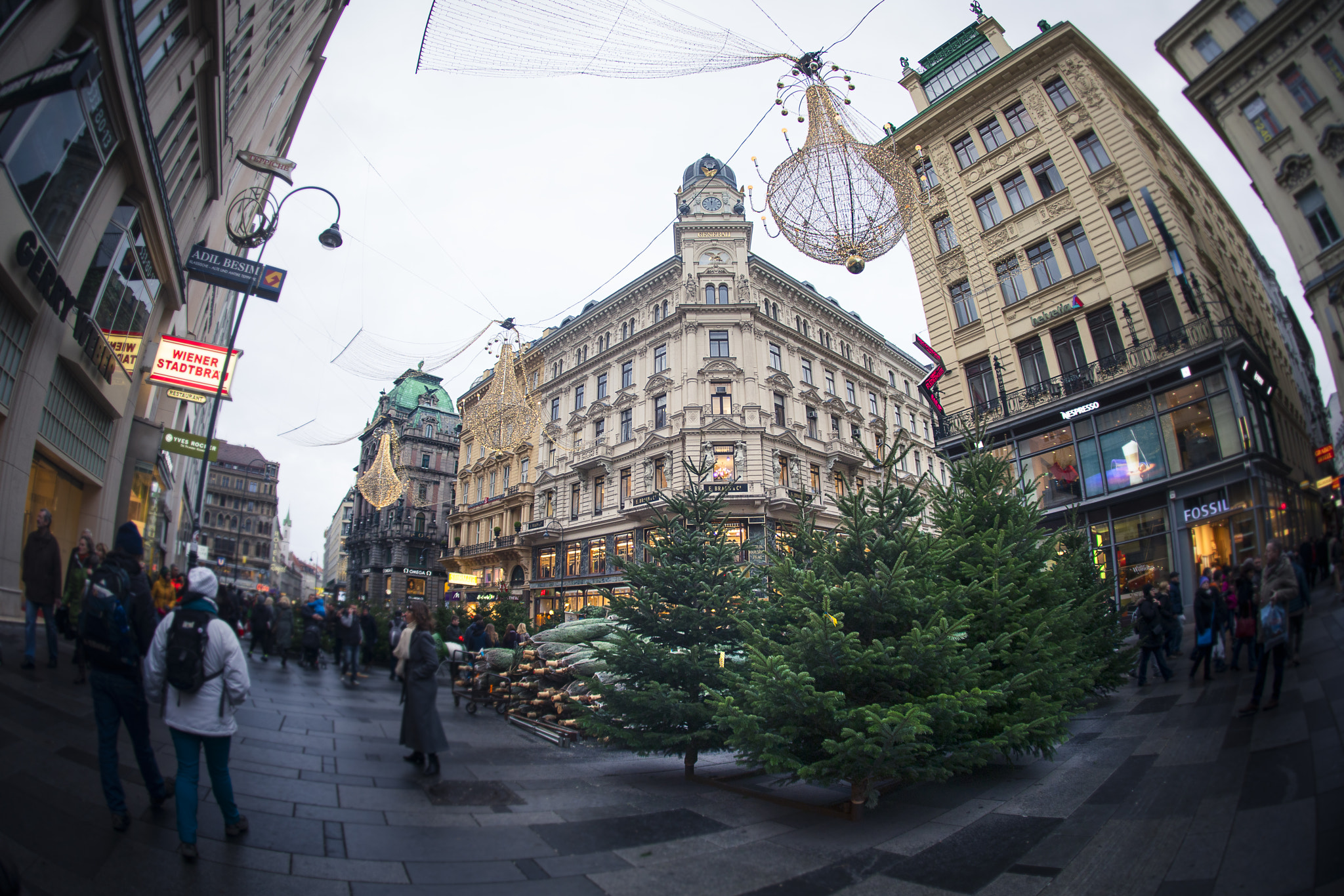 Sony a7R II + Sony 16mm F2.8 Fisheye sample photo. Time to buy a christmas tree photography