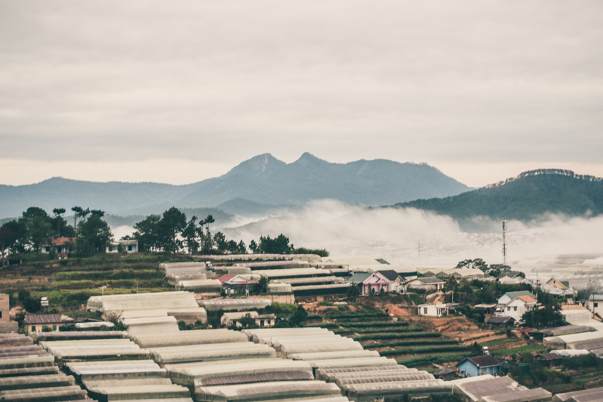 Sony DT 55-200mm F4-5.6 SAM sample photo. Very early morning at dalat, vietnam photography