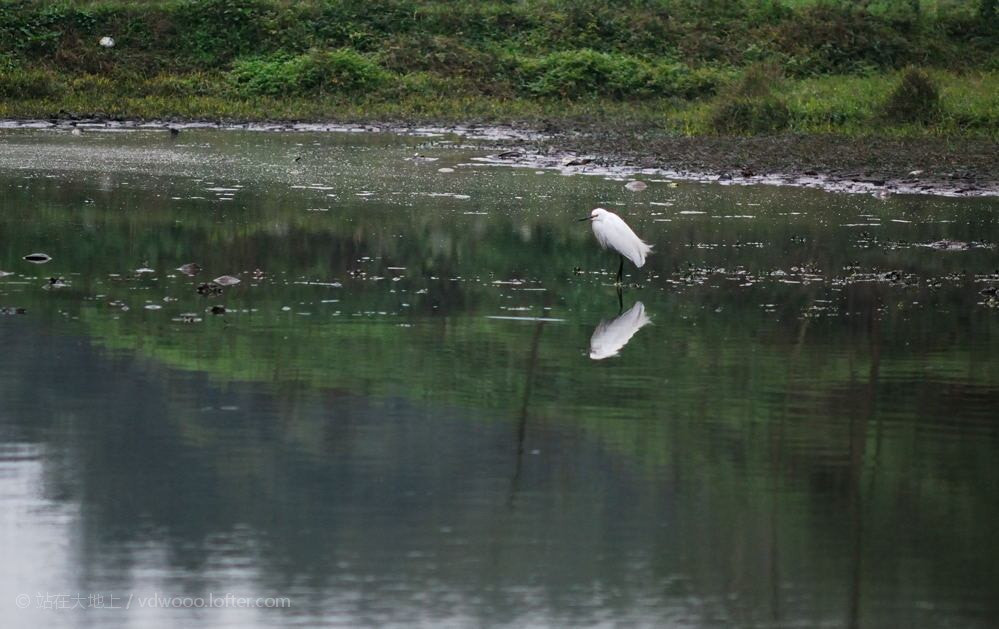 Nikon D80 + AF Zoom-Nikkor 70-210mm f/4 sample photo.  【vd视觉记忆】【2012.01.12】在路上 冬天休假在家， 室外阴冷， 整日猫冬， 难得迎来好... photography