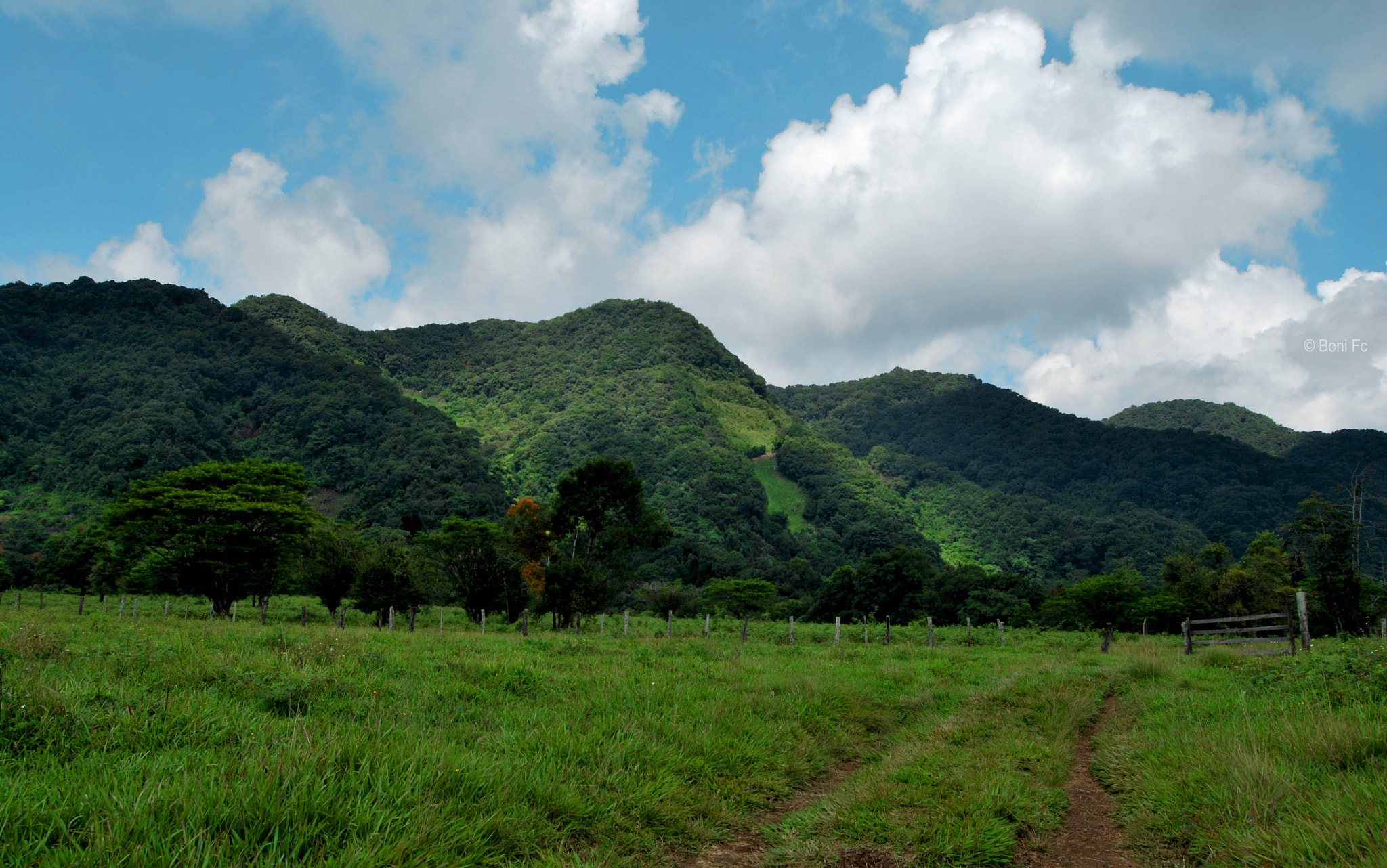 Nikon D60 sample photo. A long, long way photography