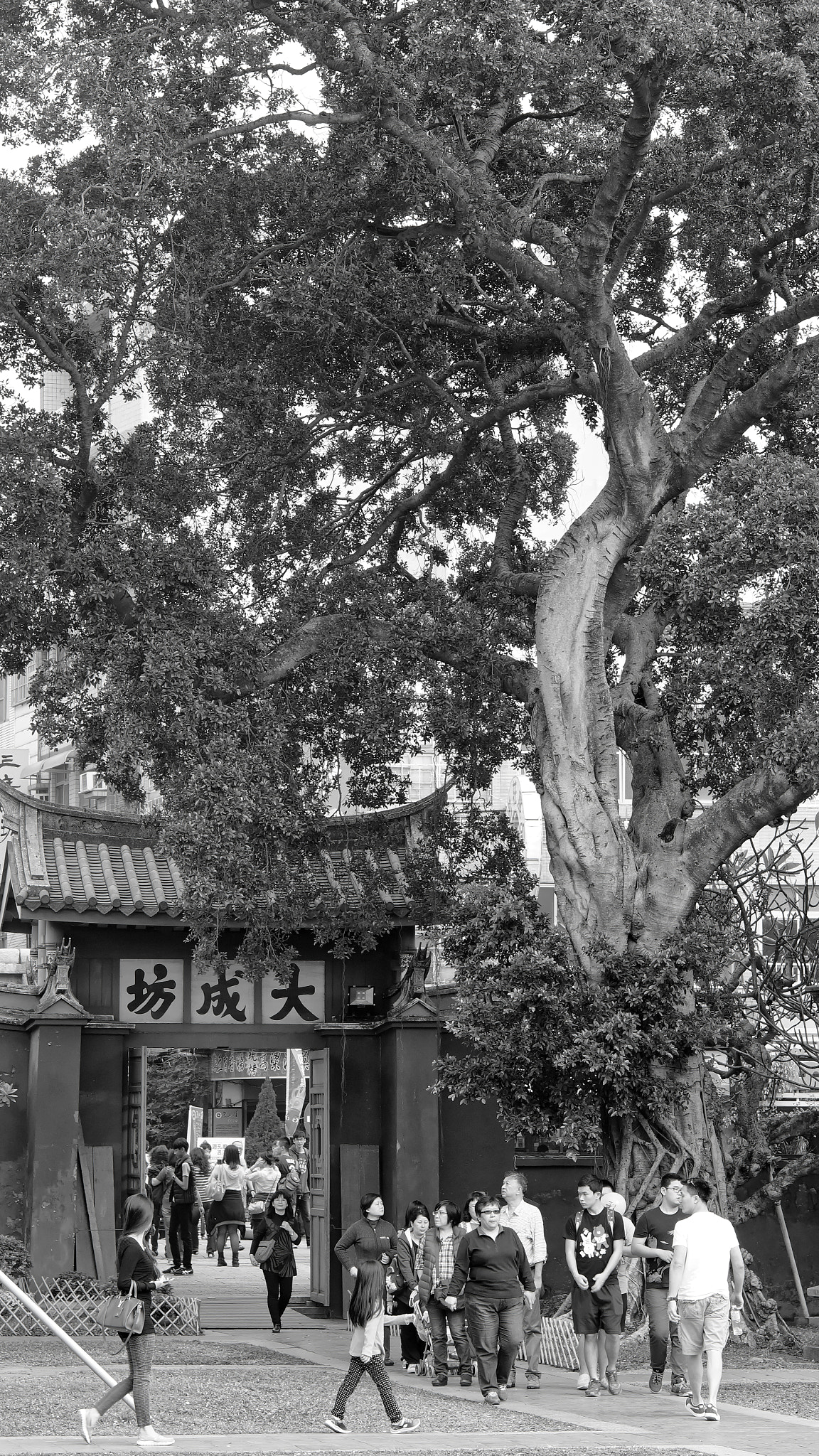Sony Alpha NEX-7 + Sony Sonnar T* FE 55mm F1.8 ZA sample photo. Tainan confucian temple photography