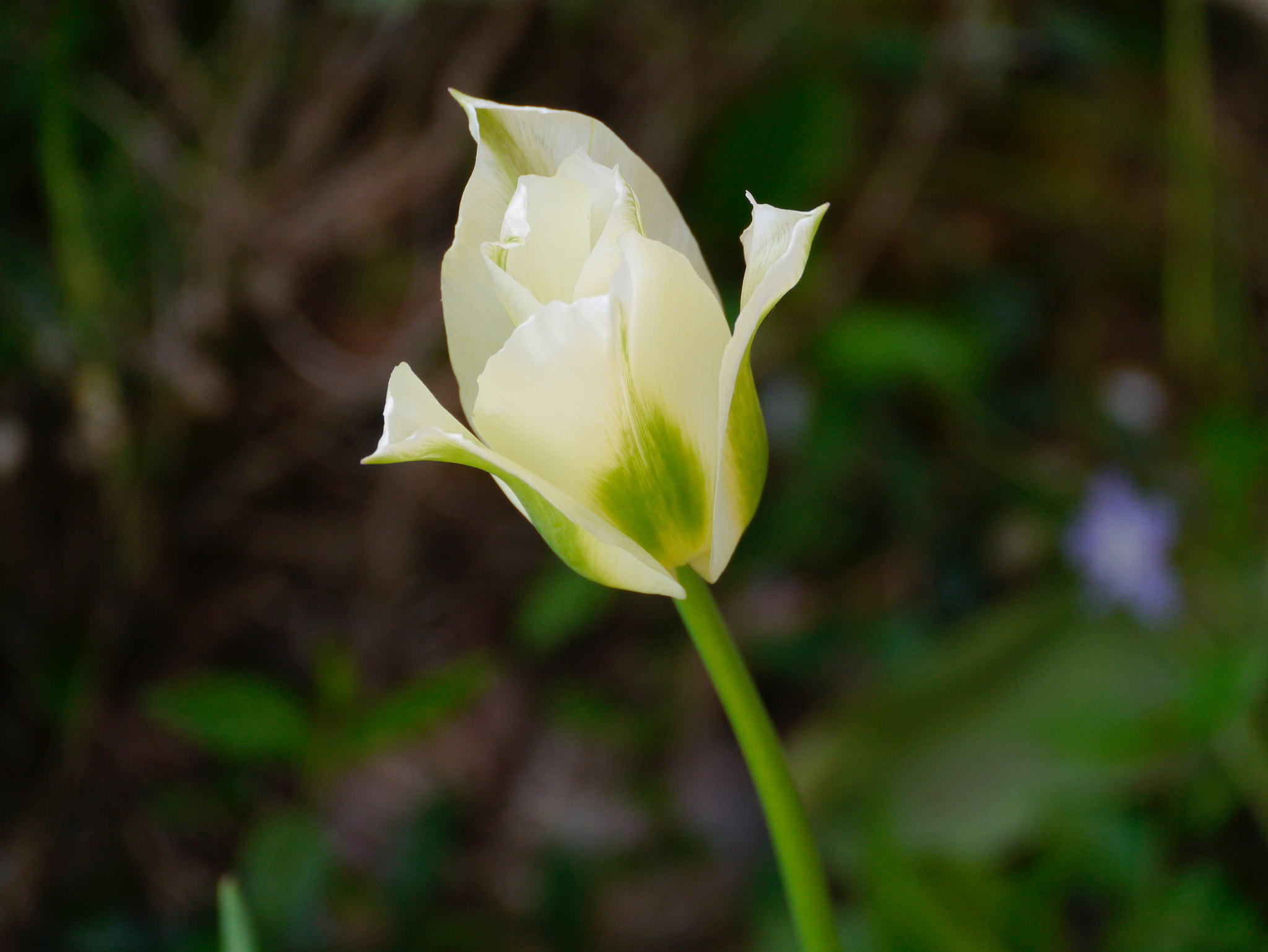 Panasonic Lumix DMC-GX1 sample photo. Sa soeur photography