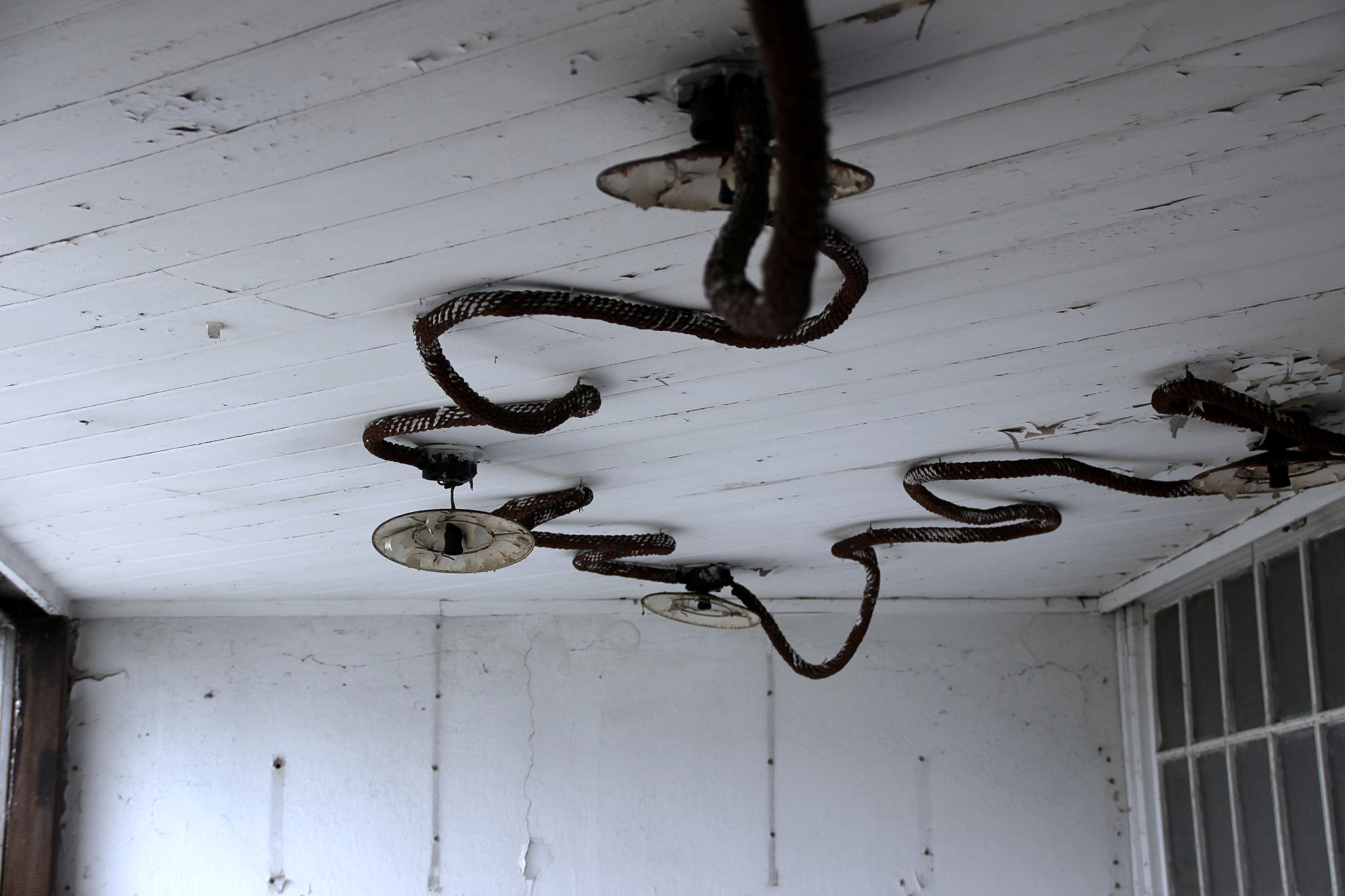 Sigma 18-125mm F3.8-5.6 DC OS HSM sample photo. Snake photography