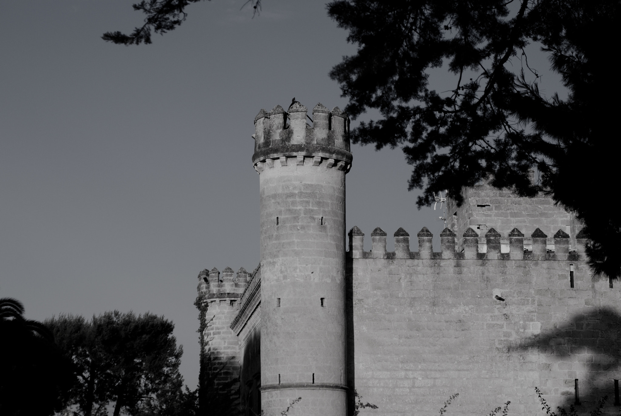 Nikon D80 + Sigma 24-70mm F2.8 EX DG Macro sample photo. Castle monaci photography