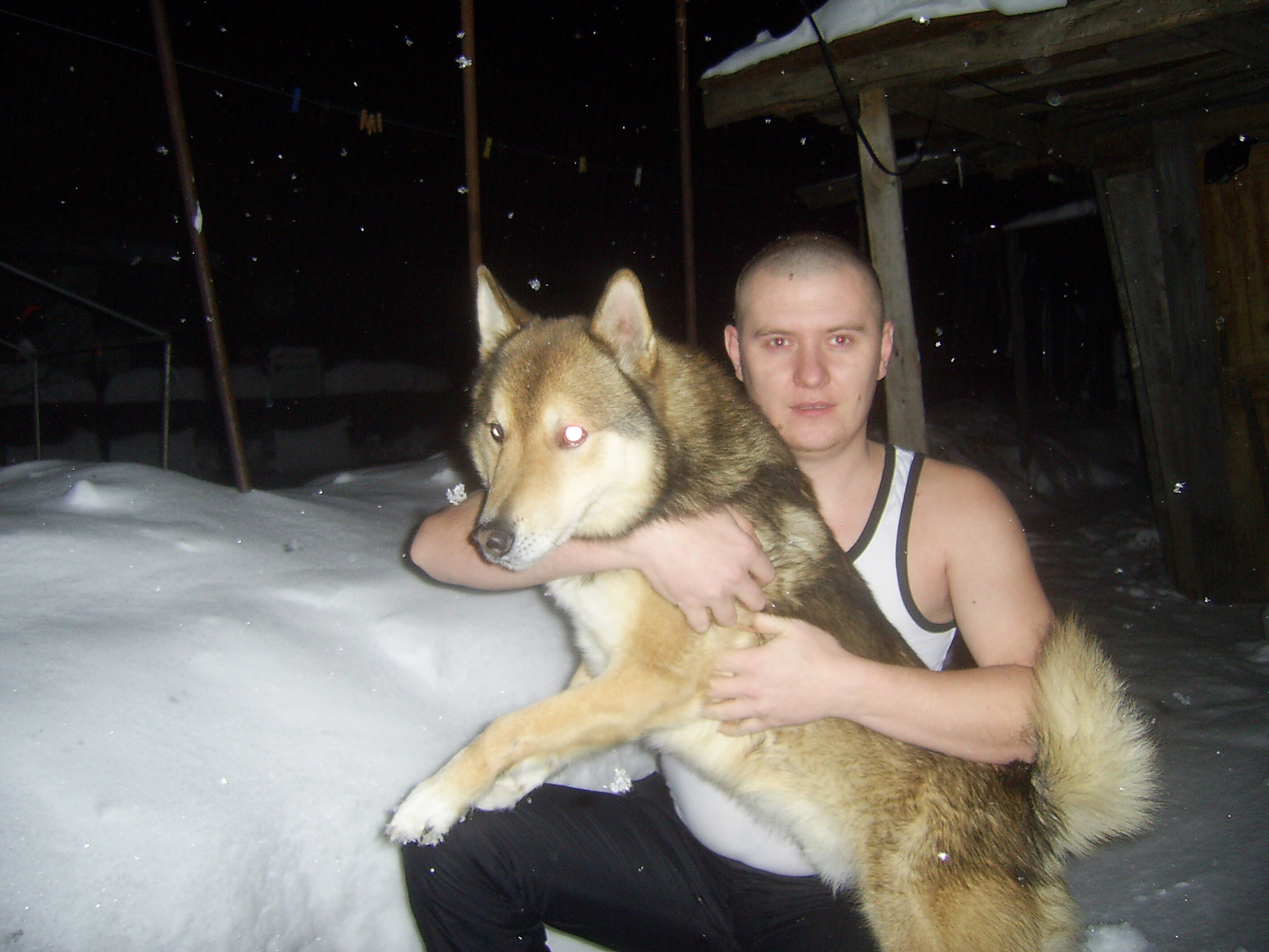 DIGITAL CAM sample photo. Амур photography
