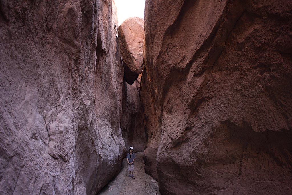 Sony Alpha NEX-7 + Sony E 20mm F2.8 sample photo. Snow, dry fork, coyote gulch, utah photography